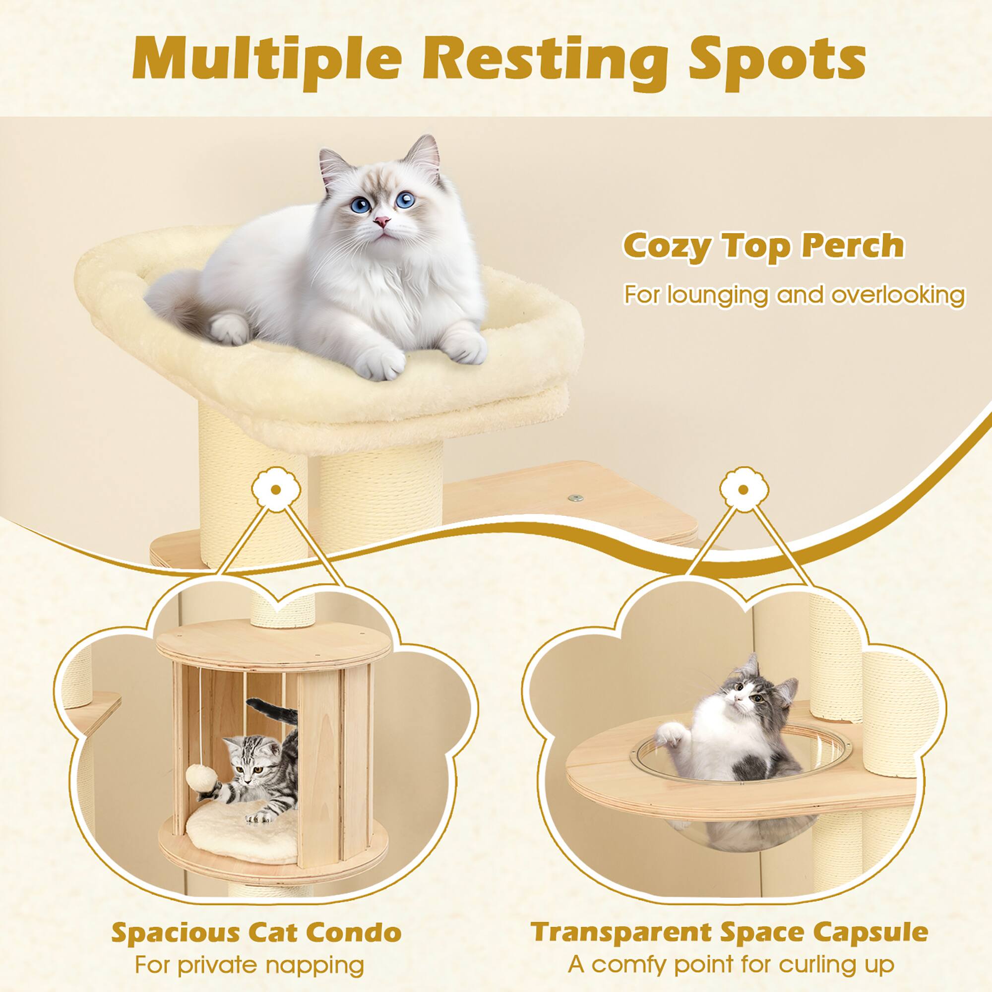 Multiple Resting Spots

Cozy Top Perch  
For lounging and overlooking

Spacious Cat Condo  
For private napping

Transparent Space Capsule  
A comfy point for curling up