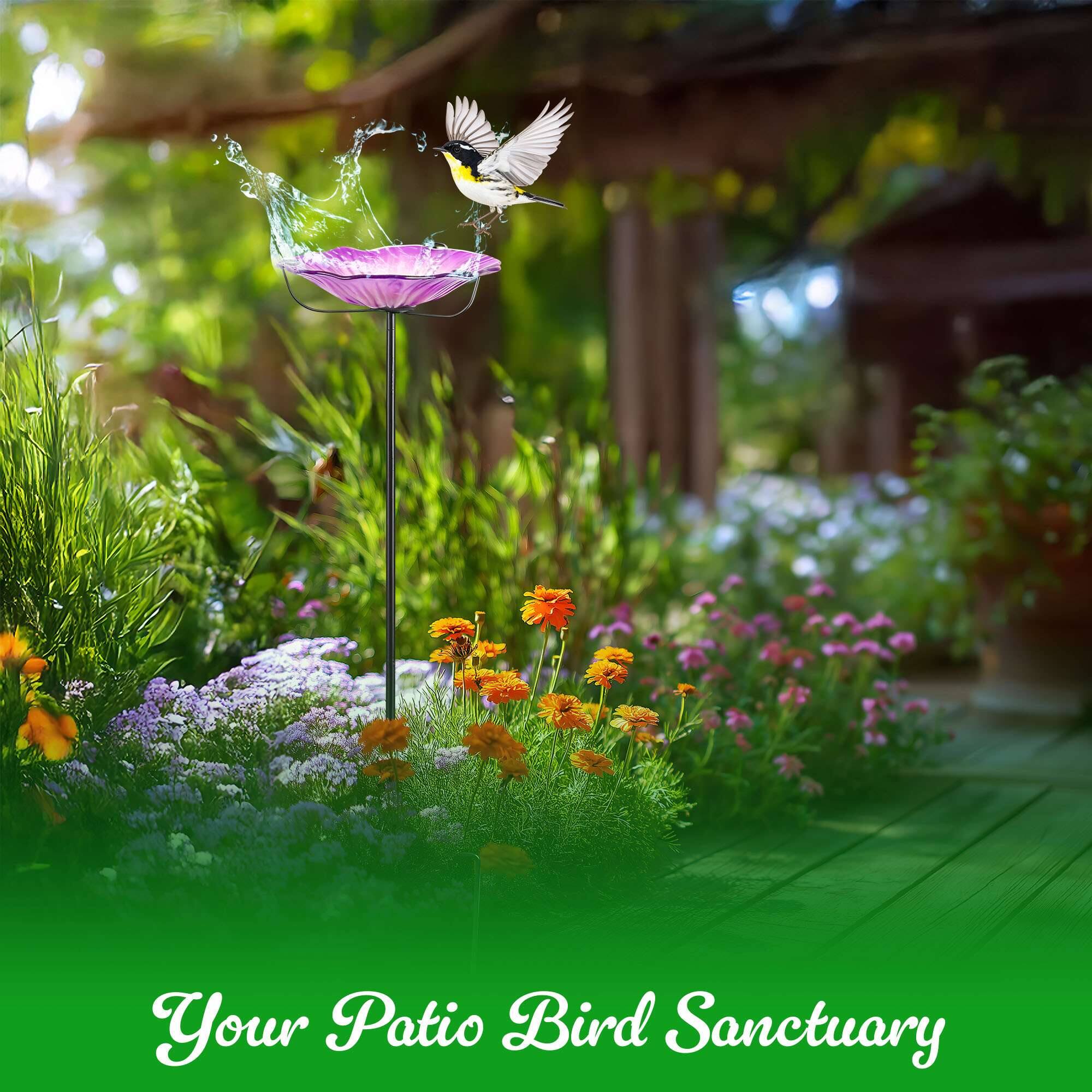Your Patio Bird Sanctuary