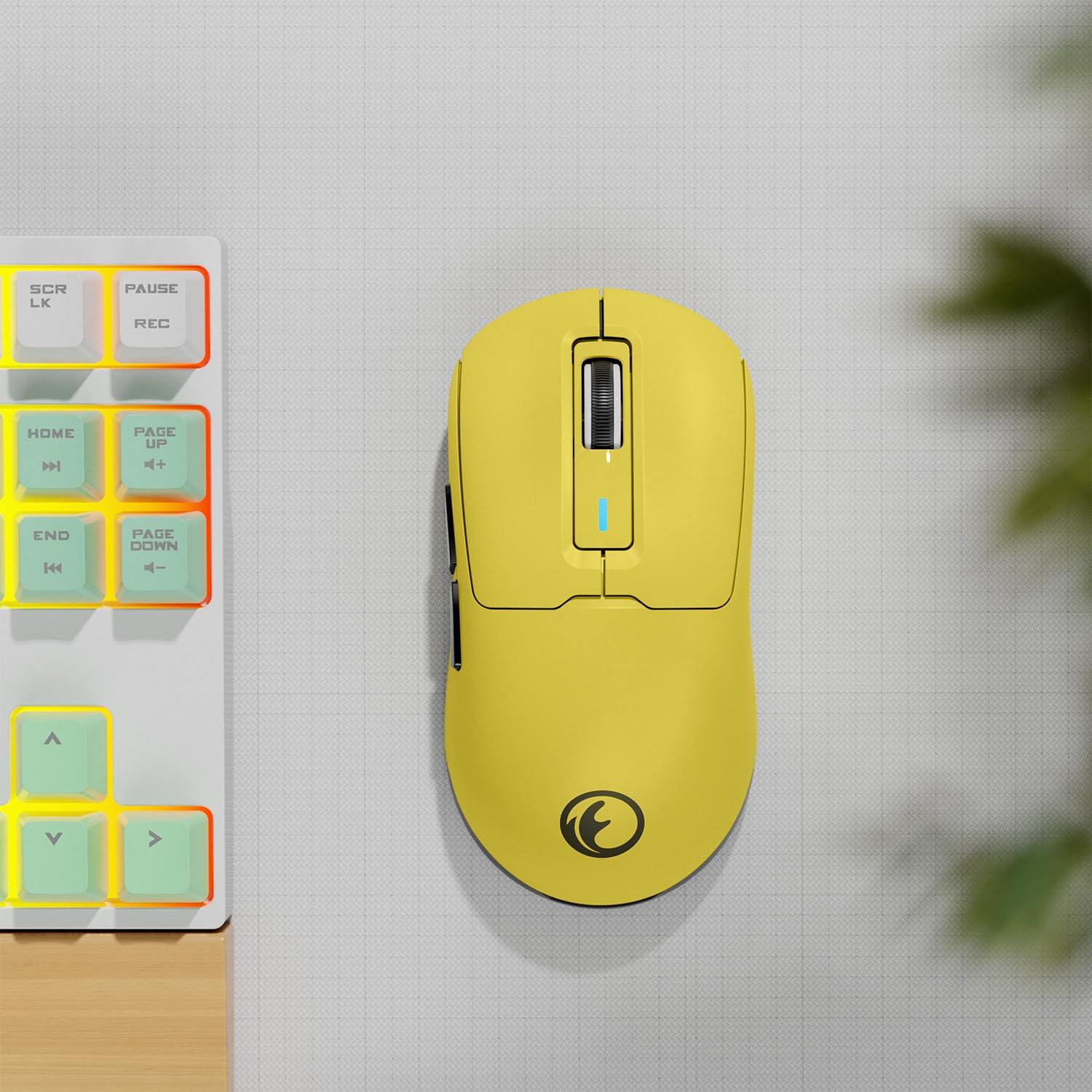 SCR LK PAUSE REC HOME PAGE UP END PAGE DOWN A V