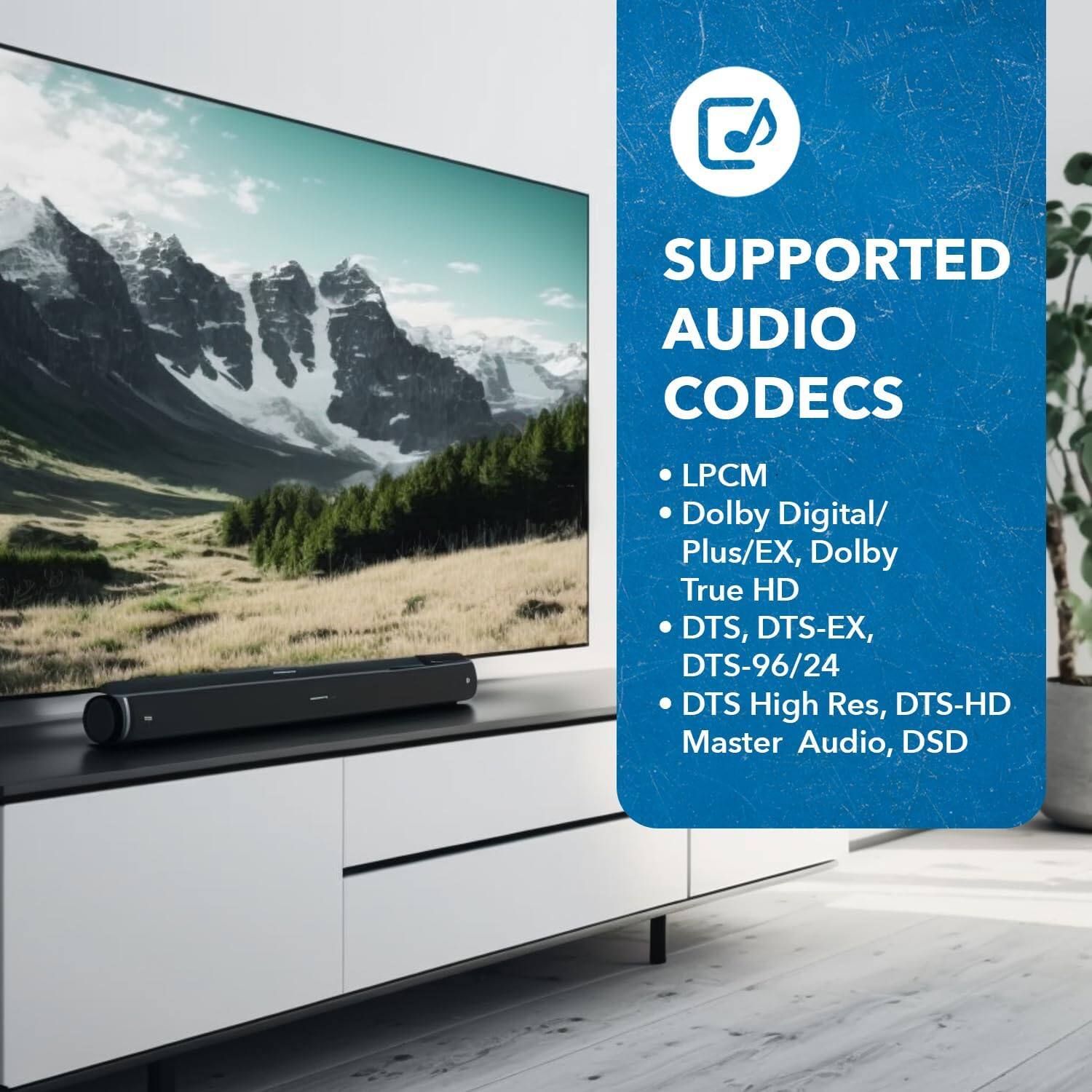 SUPPORTED AUDIO CODECS

- LPCM
- Dolby Digital/ Plus/EX, Dolby True HD
- DTS, DTS-EX, DTS-96/24
- DTS High Res, DTS-HD Master Audio
- DSD