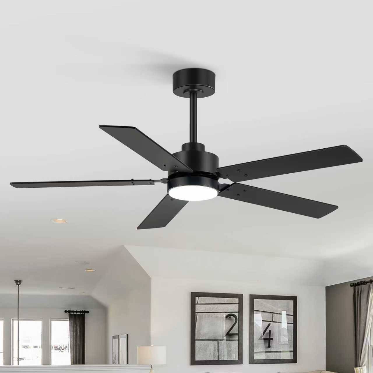 Front. Breezary - 48-Inch Ceiling Fan with LED Light, Reversible 5 Plywood Blades, DC Motor 30W, Includes 5 & 10-Inch Downrods, Remote - Black(with light).