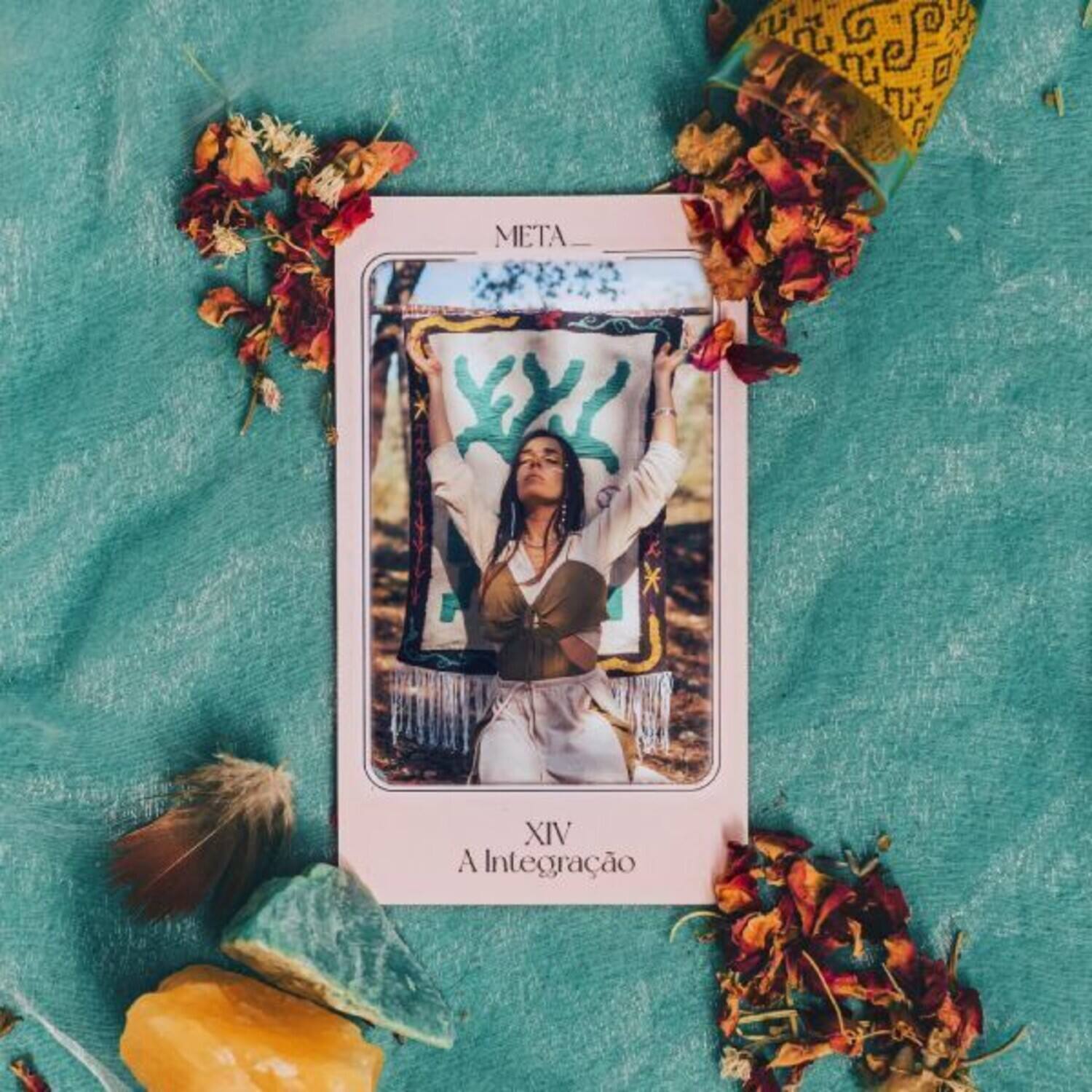 META  
XIV  
A Integração