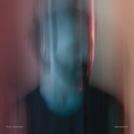 Peter Silberman - Impermanence - VINYL LP