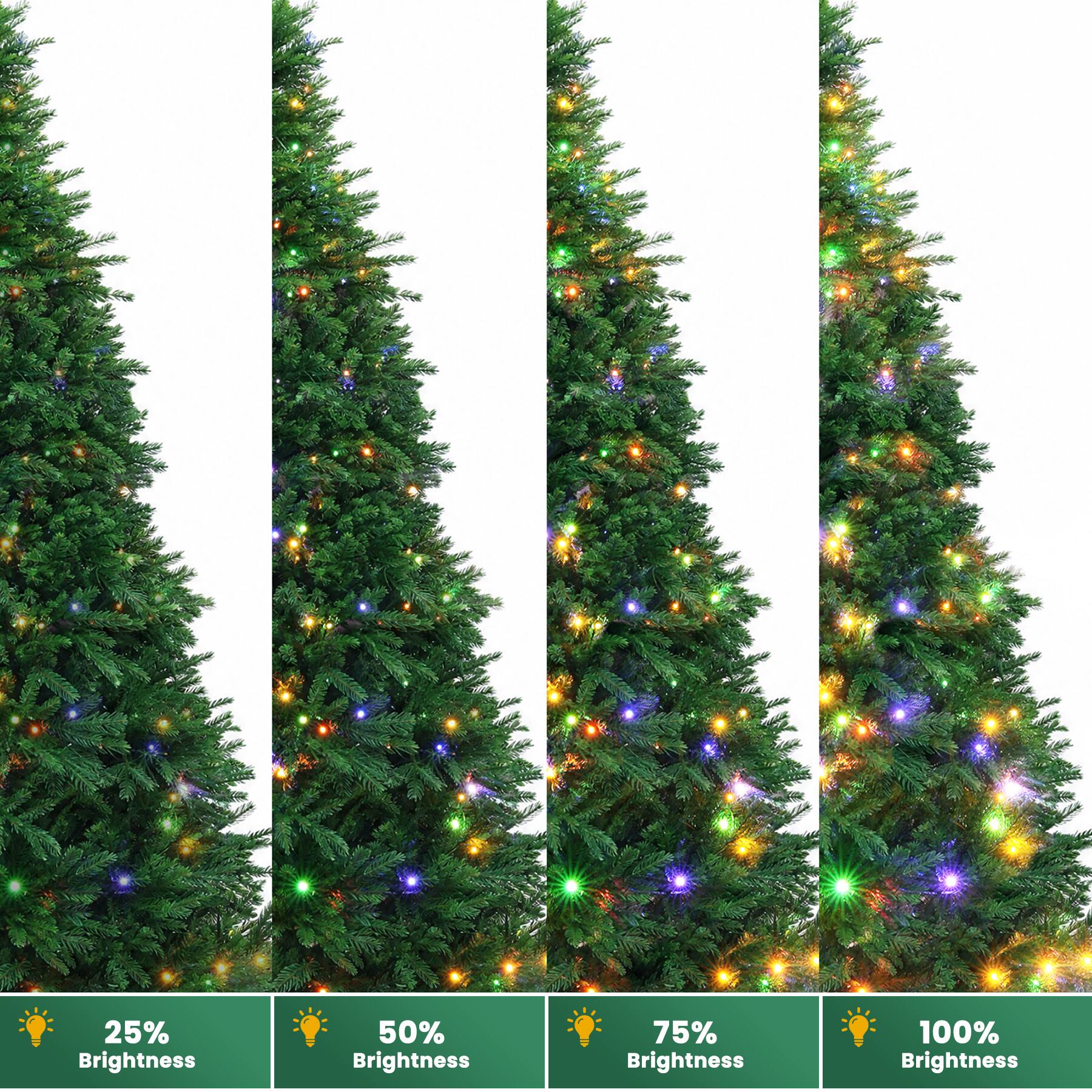 25% Brightness  
50% Brightness  
75% Brightness  
100% Brightness