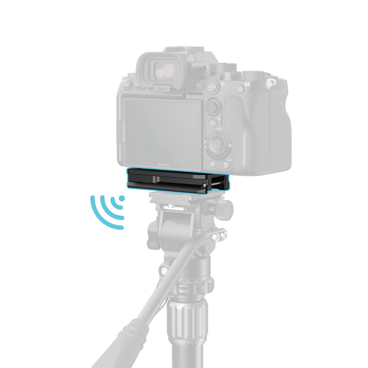 C 2. PaP: -30 SONY + CA