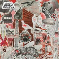 A Rhizome Revolution, Pt. 1 [LP] - VINYL - Front_Zoom