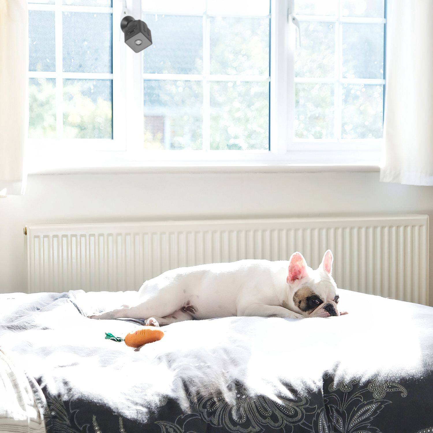 Alt View 4. Tiramisubest - 1080P 2.4G WiFi Security Camera for Pet Baby Monitor,Wireless Camera with PIR Motion Detection Night Vision App Control.