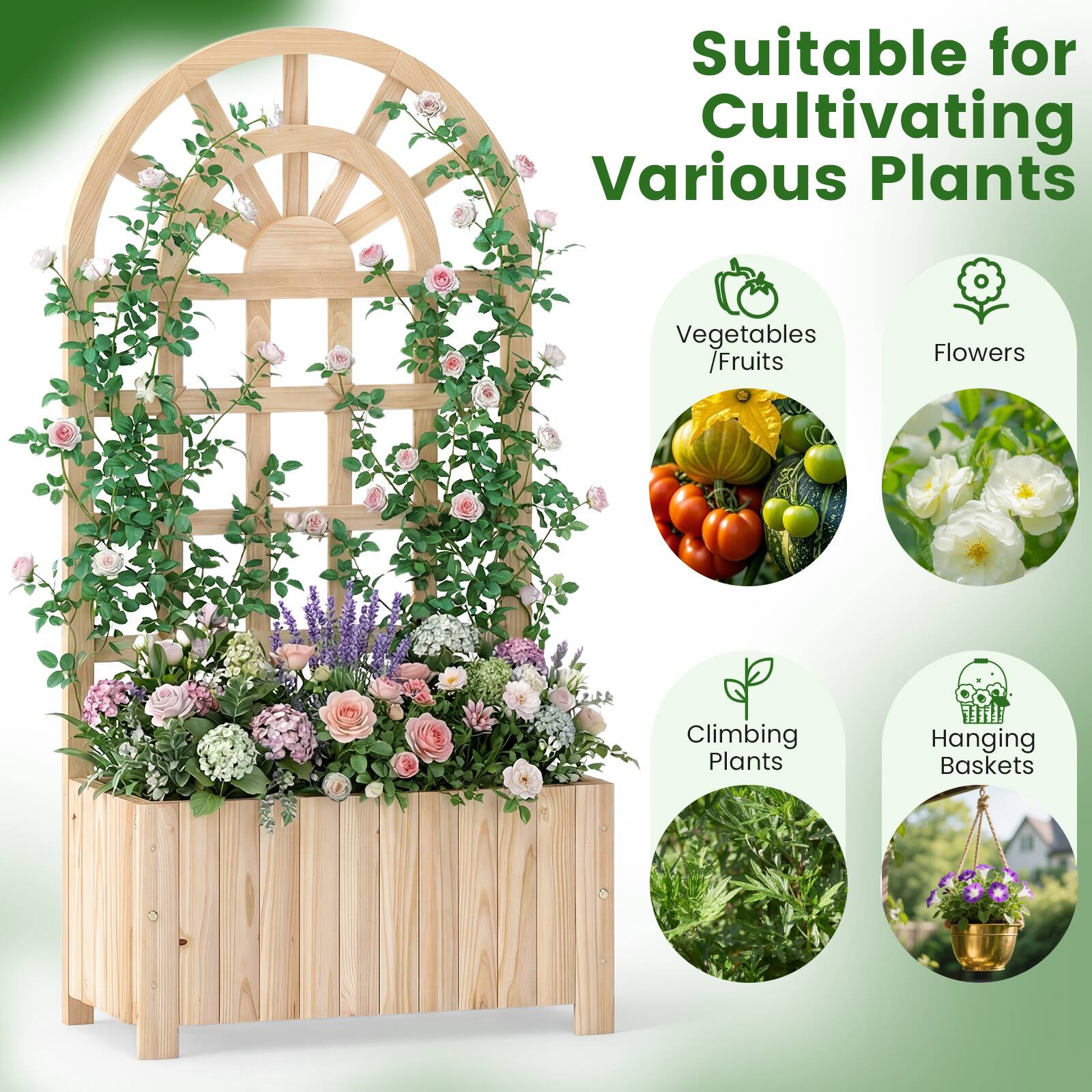 Suitable for Cultivating Various Plants

- Vegetables / Fruits
- Flowers
- Climbing Plants
- Hanging Baskets