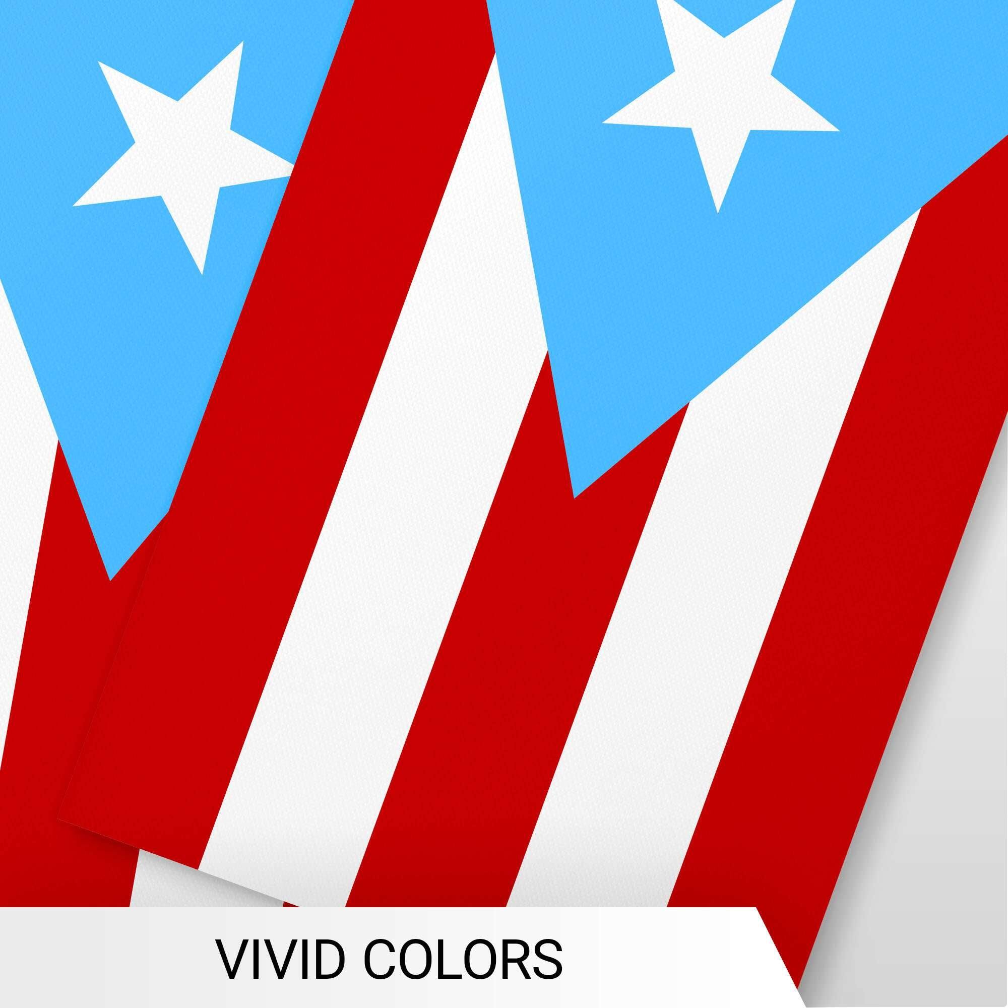 VIVID COLORS