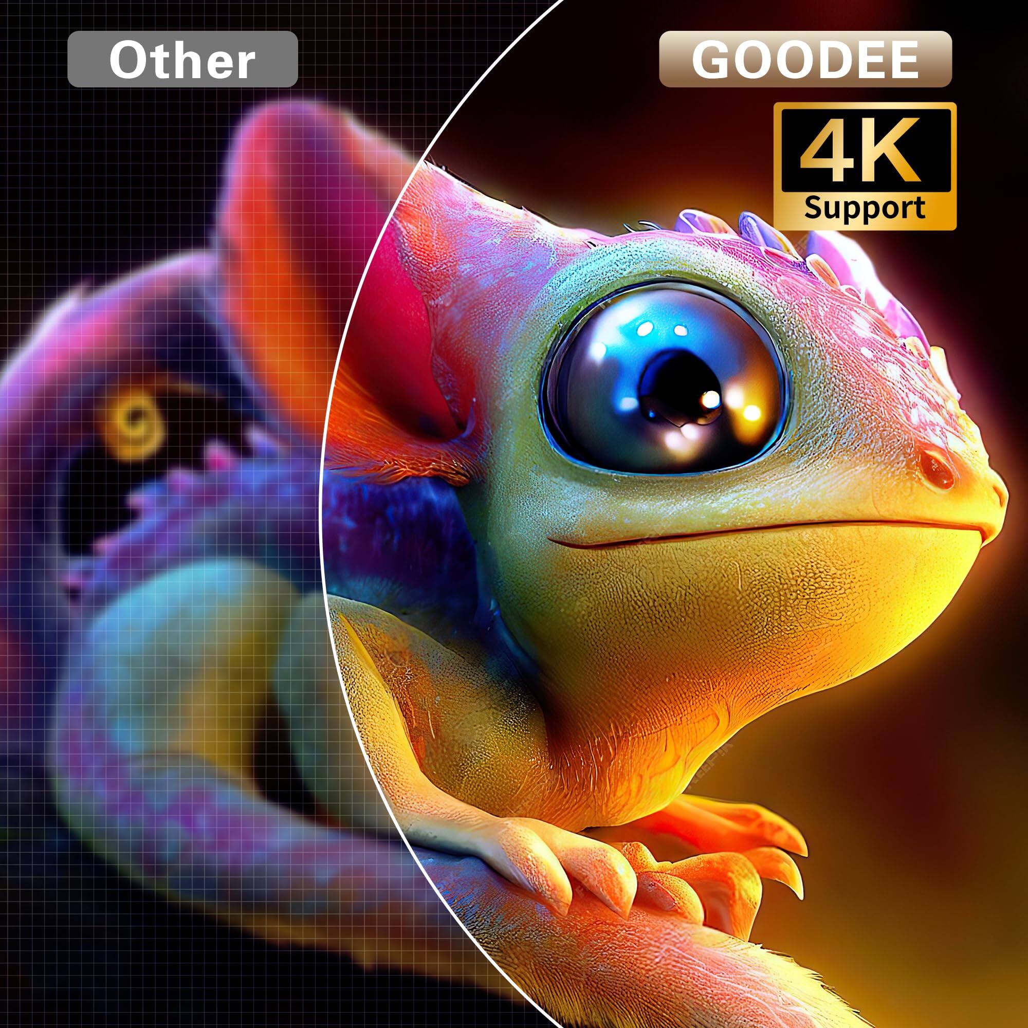 Other GOODEE 4K Support