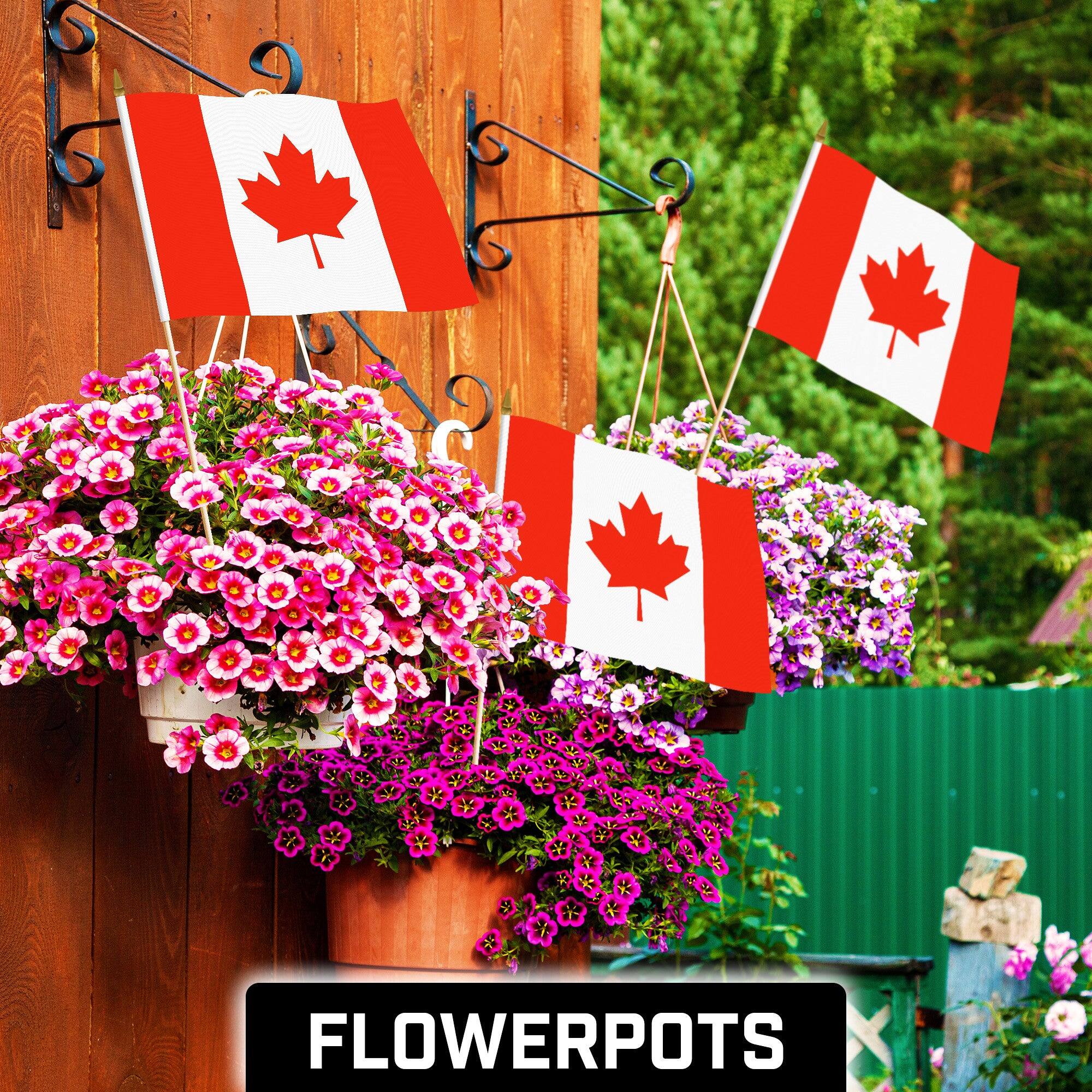 Angle. G128 - 12 Pack Handheld Canada Flags 12 x 18 in, 150D Polyester with Wooden Stick and Gold Spear Tip. - Assorted Colors.