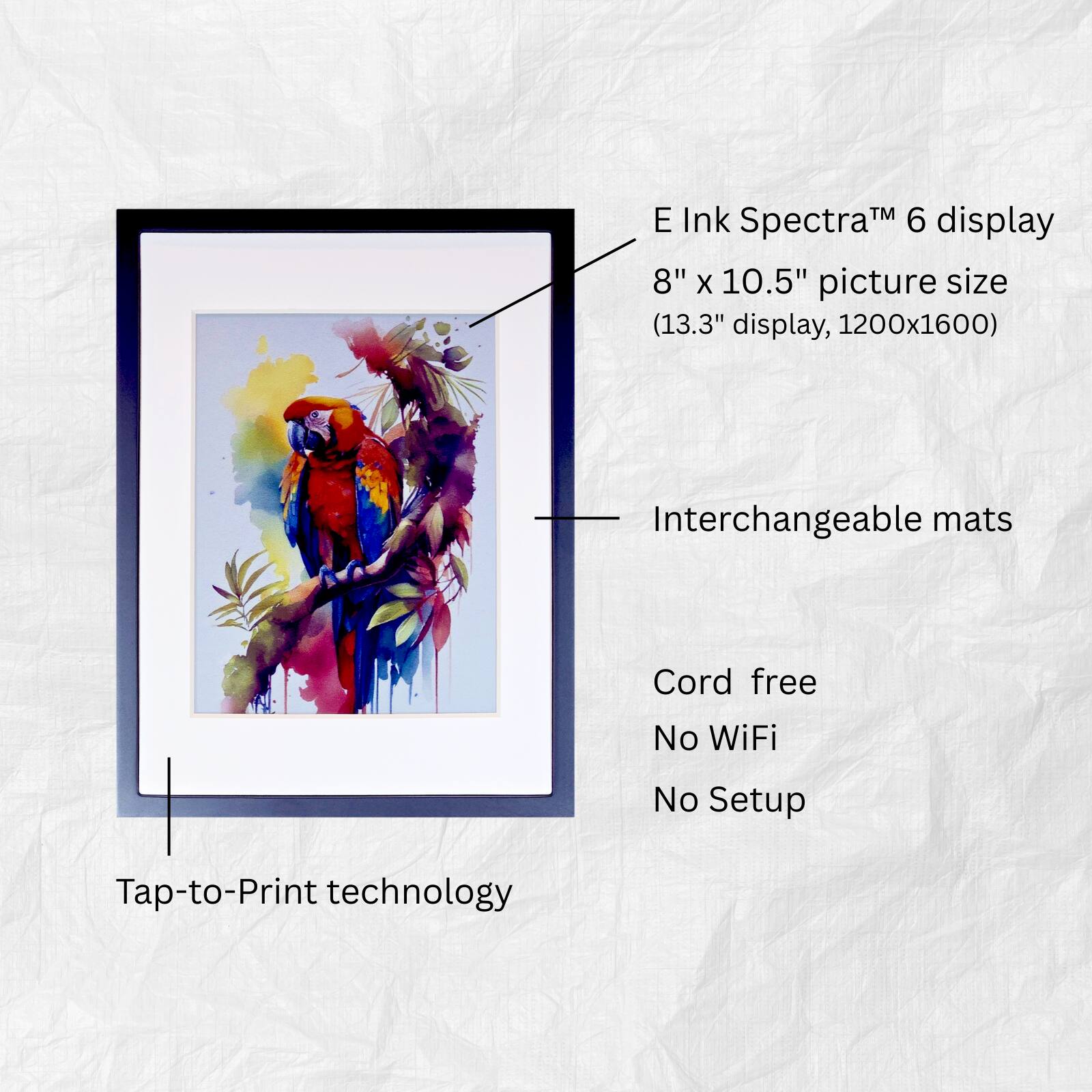 E Ink Spectra™ 6 display  
8" x 10.5" picture size (13.3" display, 1200x1600)  
Interchangeable mats  
Cord free  
No WiFi  
No Setup  
Tap-to-Print technology