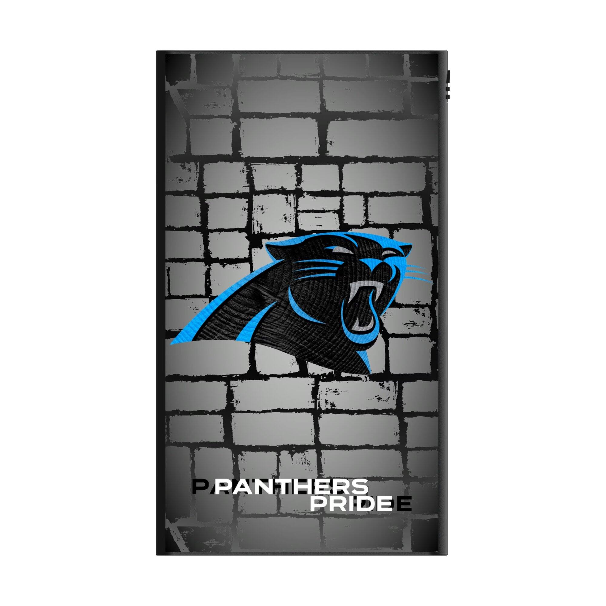 P Panthers Pride