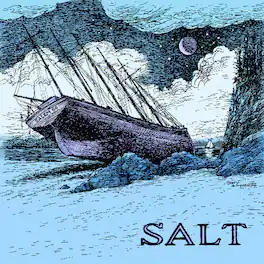 Salem 66 - Salt - VINYL LP