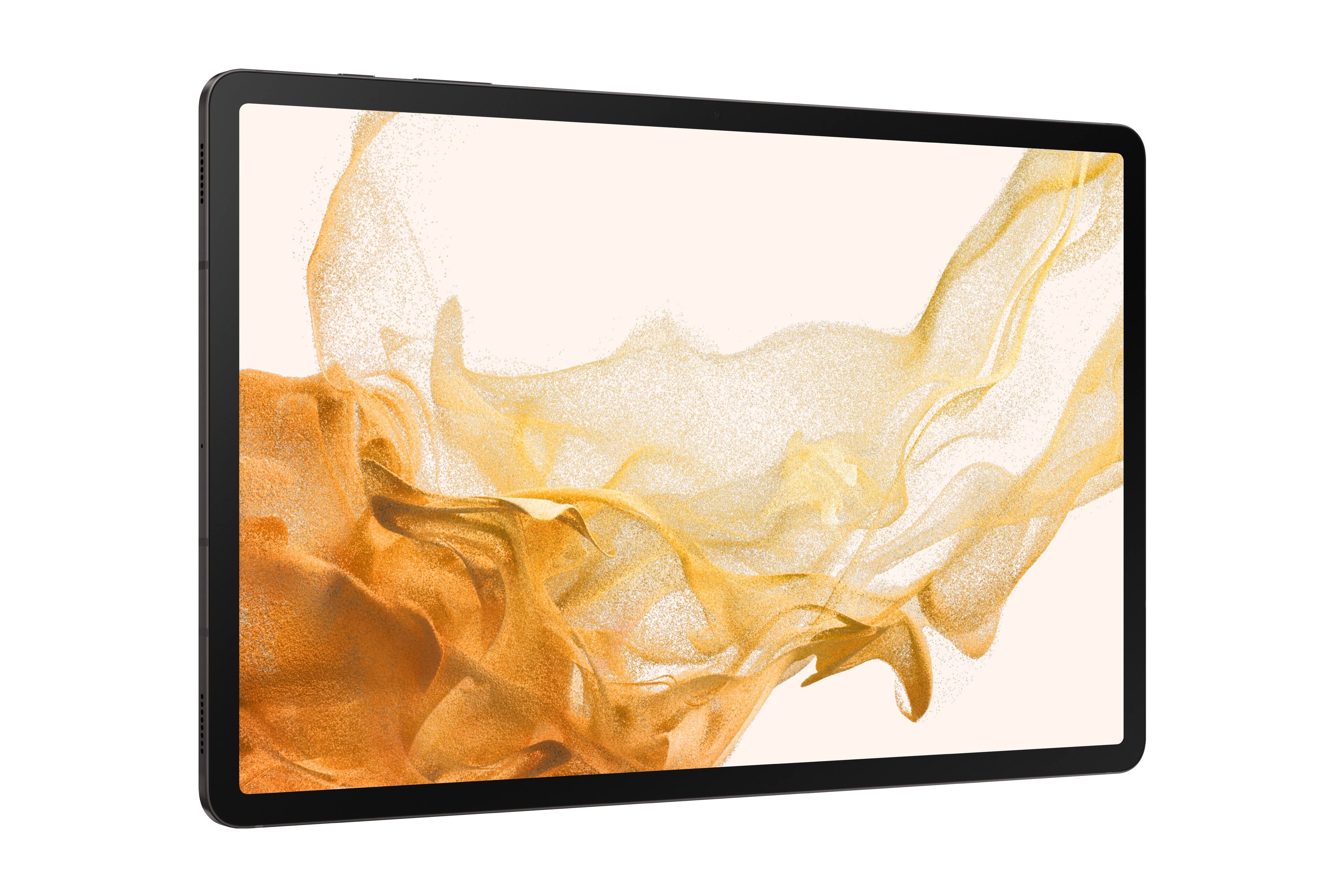 Galaxy Tab S8+ ジャンク品 Galaxy Tab S8+ 128GB - Gray - (Wi-Fi) | Back Market