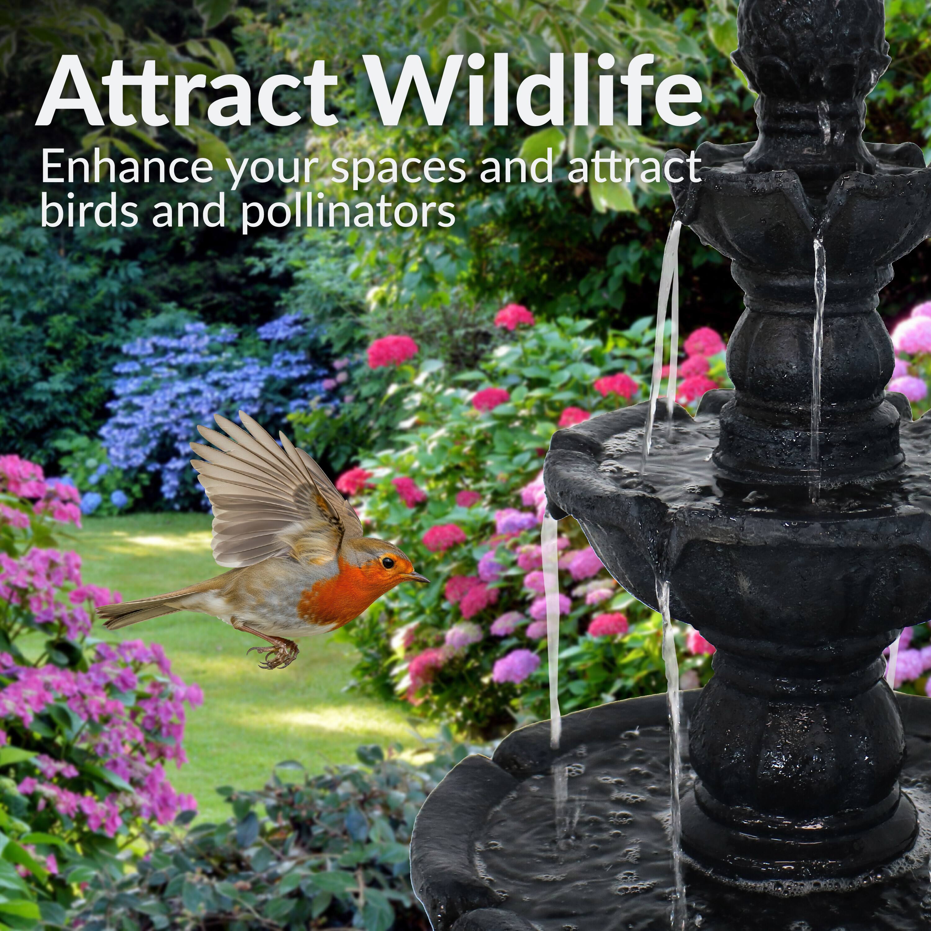 Attract Wildlife  
Enhance your spaces and attract birds and pollinators
