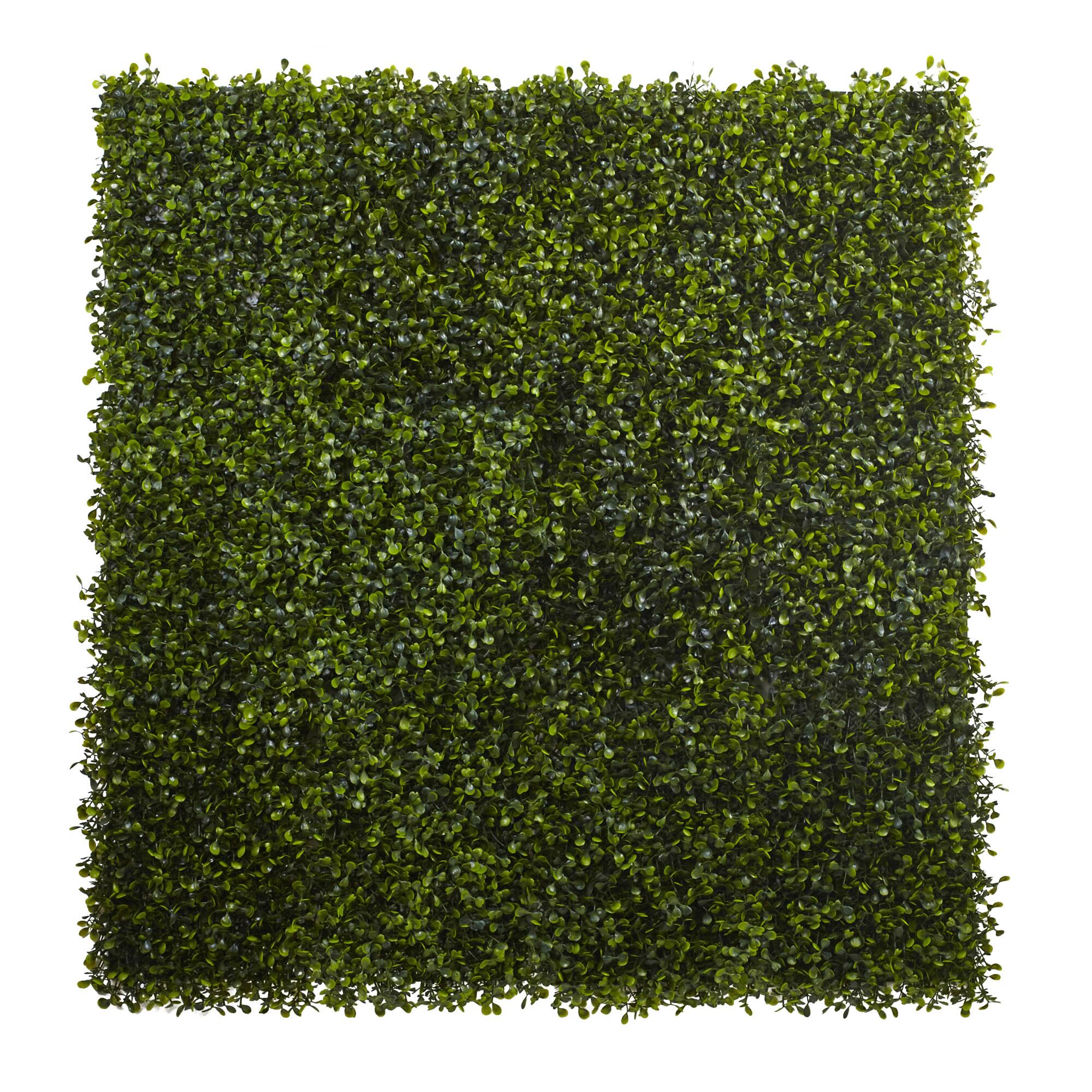 Front. BreeBe - 12" x 10" Boxwood Mat (Set of 12) - Green.