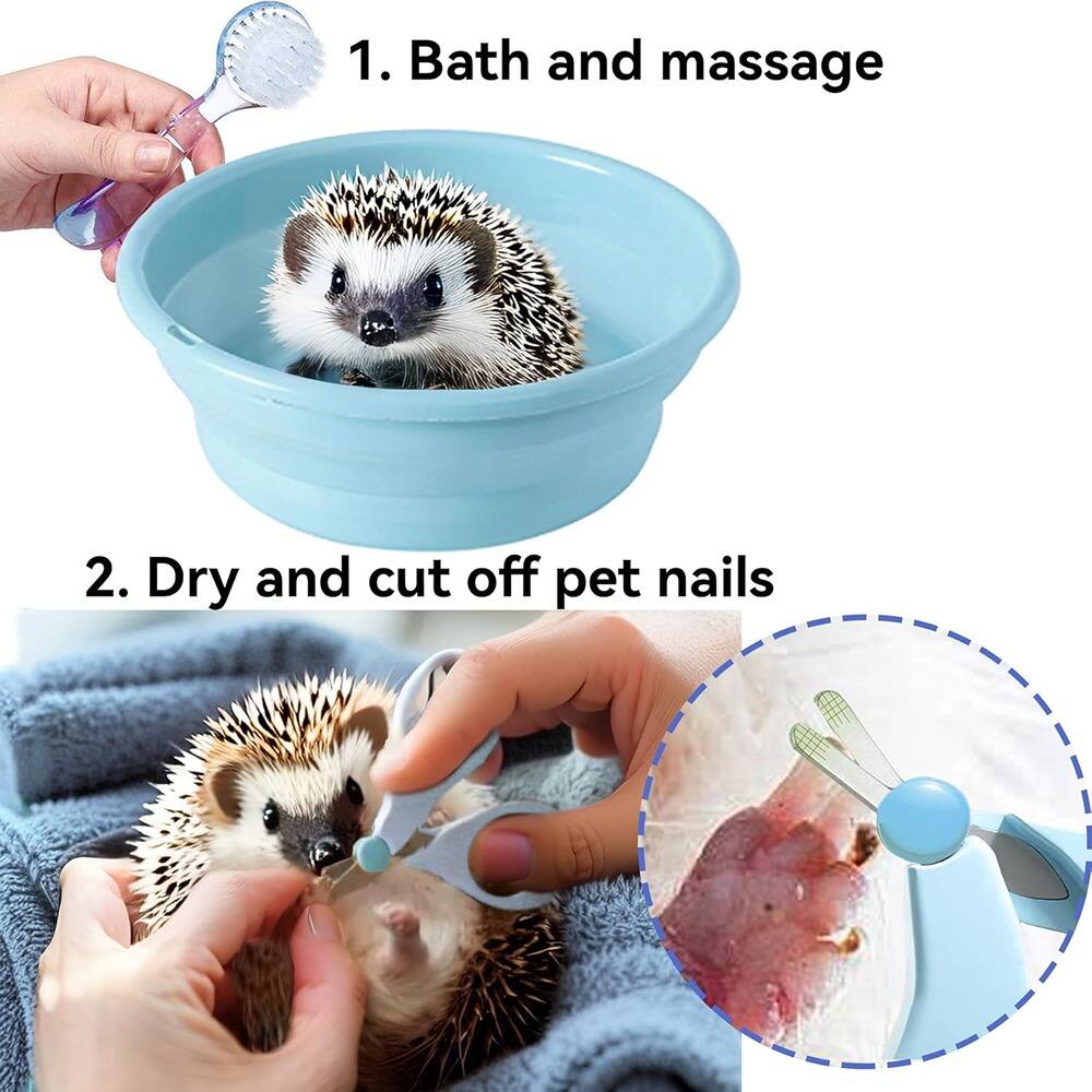 1. Bath and massage  
2. Dry and cut off pet nails