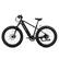 RENEGADE! LECTRIC LESTRS