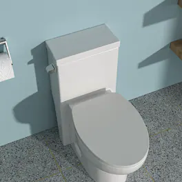 Loheer - Ceramic One Piece Toilet, Twelve Inch Rough In, Soft Close Seat - White