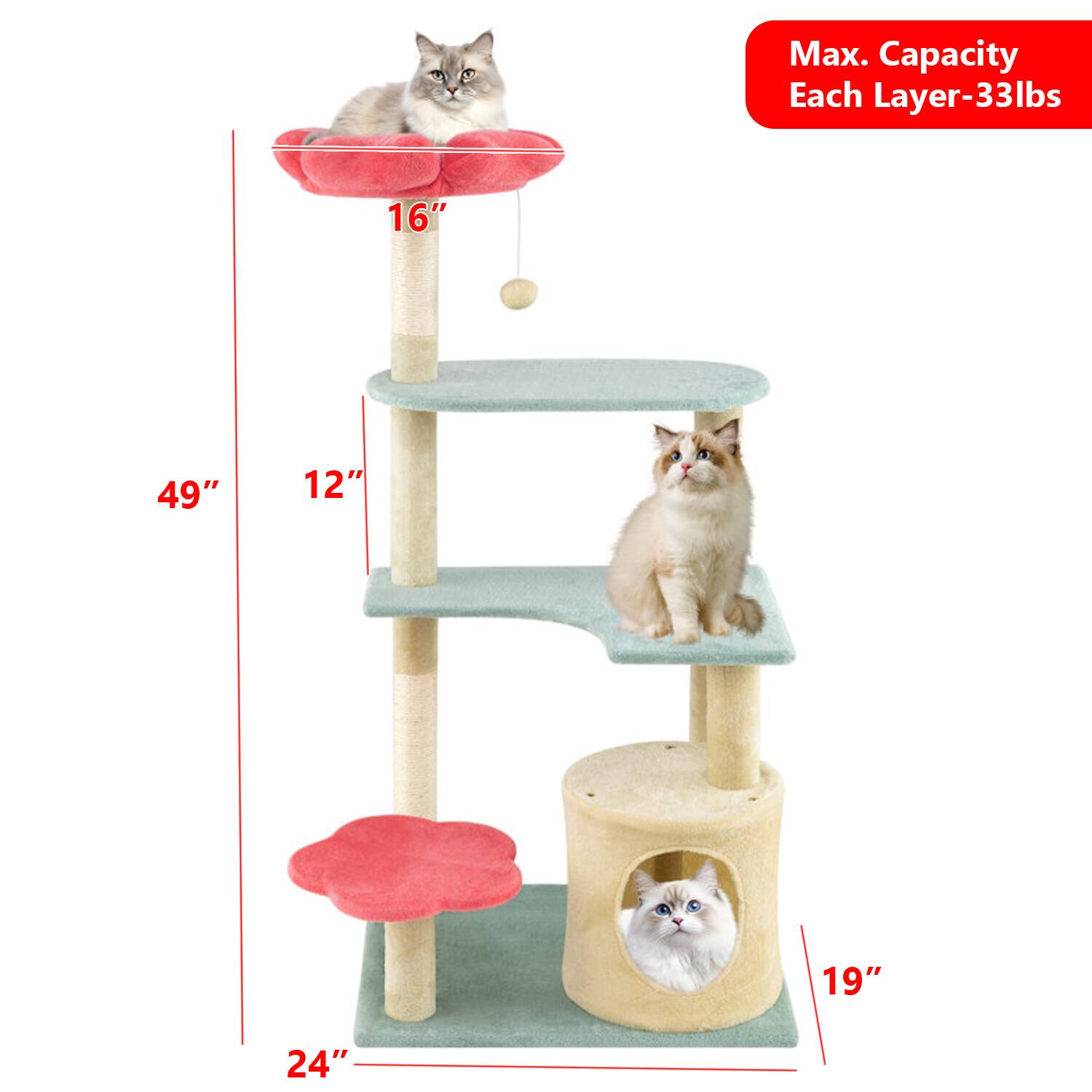 Max. Capacity Each Layer-33lbs  
16" 49" 12" 19" 24"