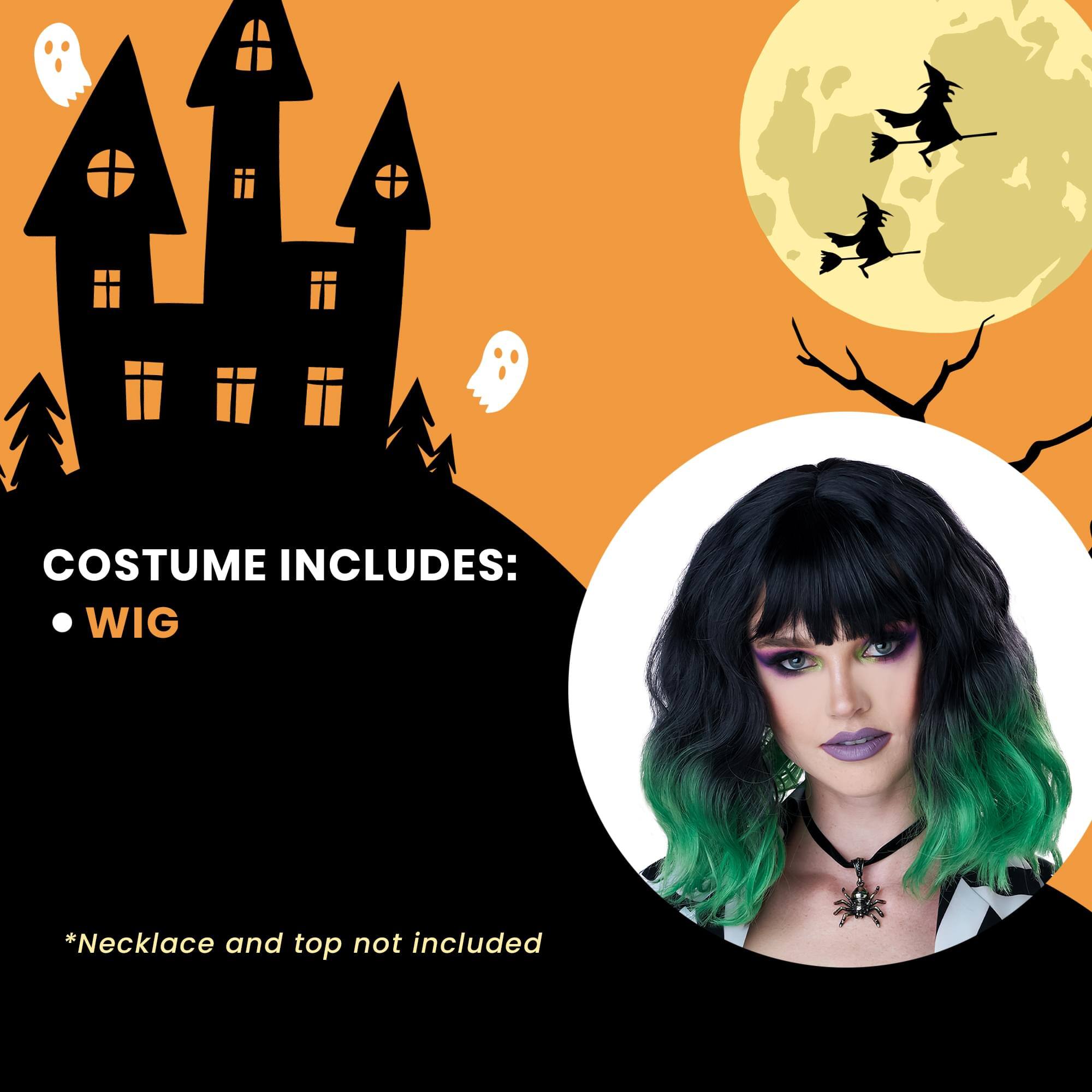 COSTUME INCLUDES:  
- WIG  

*Necklace and top not included