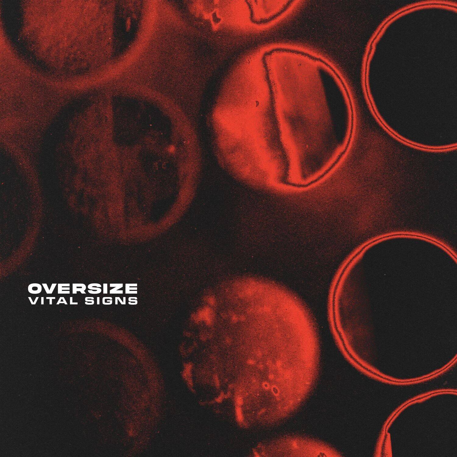 Oversize - Vital Signs   - COMPACT DISCS [CD] price history on PriceWatchPro