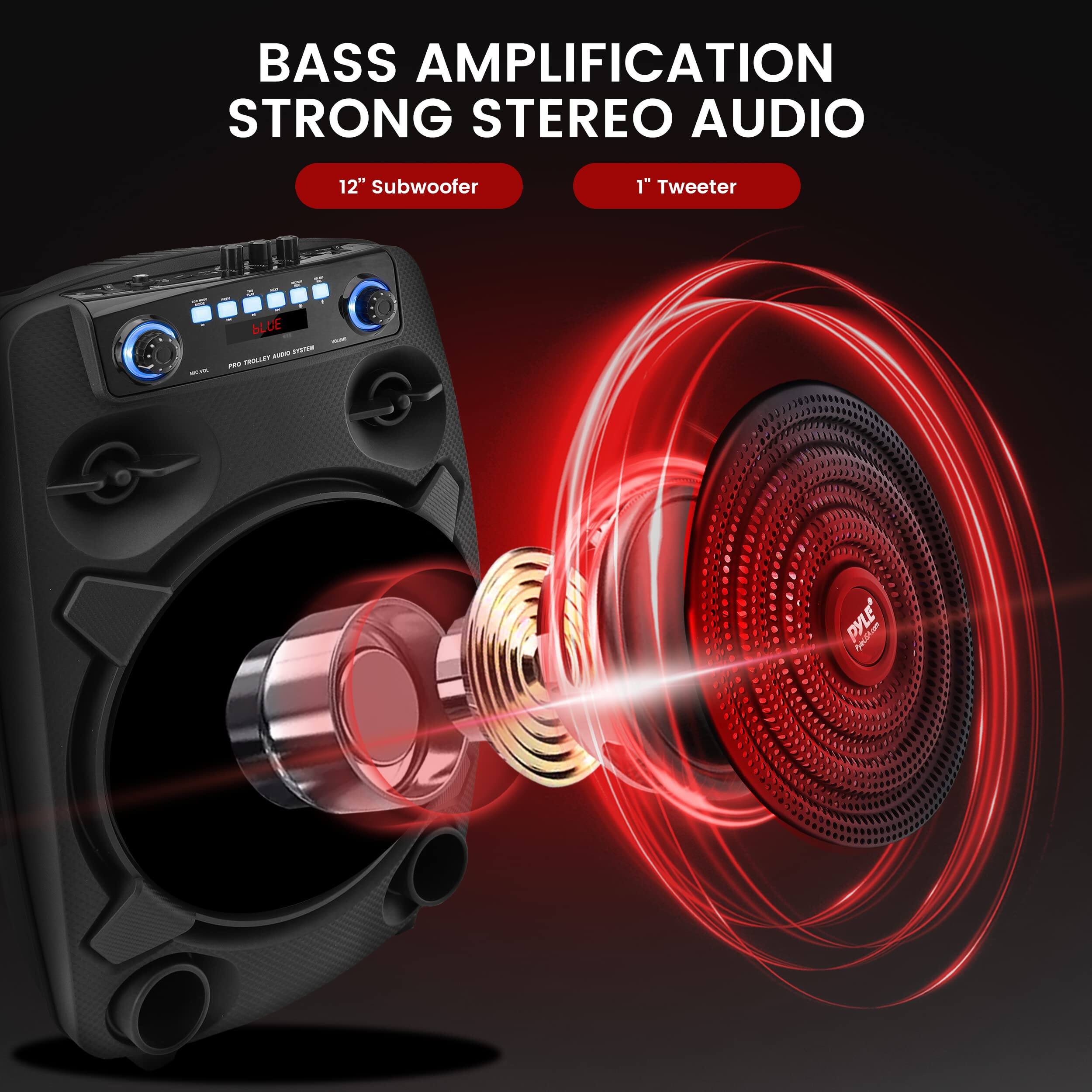 BASS AMPLIFICATION STRONG STEREO AUDIO  
12" Subwoofer  
1" Tweeter  

BLUE - no - MLLE - PYLE