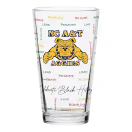 Indigo Falls - North Carolina A&T Aggies 16oz. Pint Glass - Multicolor