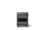 Front. Viking - 30 in. Wide 4 Elements Pro 5 Series 4.7 Cu. Ft. Freestanding Induction Convection Range - Damascus Gray w. Brushed Brass - Damascus Gray.