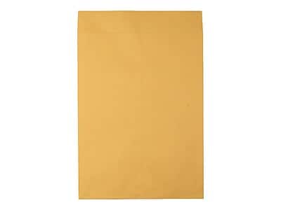 "Quality Park - Open End Kraft Catalog Envelopes, 15"" x 20"", 25/Box (QUA42355) - Brown Kraft" price history on PriceWatchPro