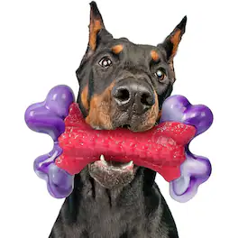 Frienhund - Nylon Bone Shaped Chicken Flavored Dog Chew Toy, 1 count - Red