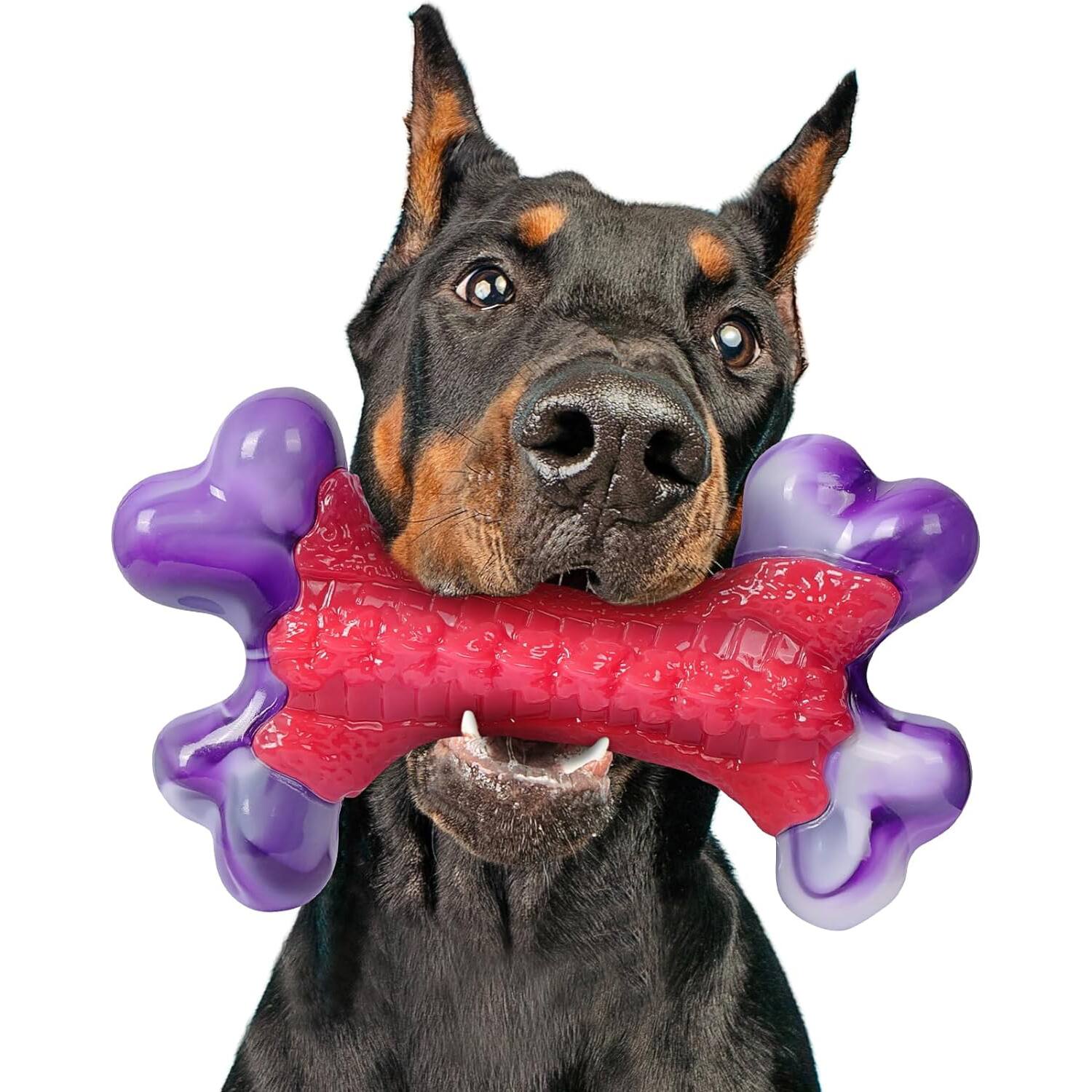 Frienhund Nylon Bone Shaped Chicken Flavored Dog Chew Toy, 1 count Red ...