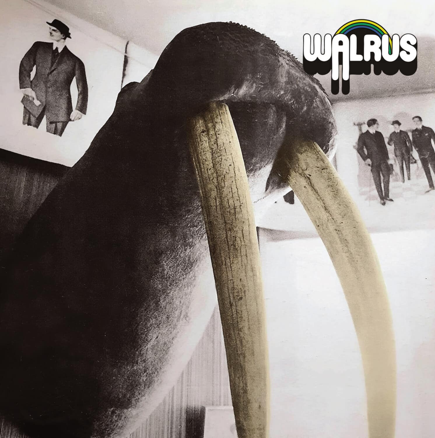 Walrus - Walrus   - COMPACT DISCS [CD]