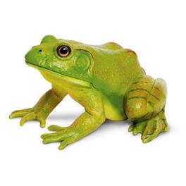 Safari Ltd. - American Bullfrog Toy Figurine