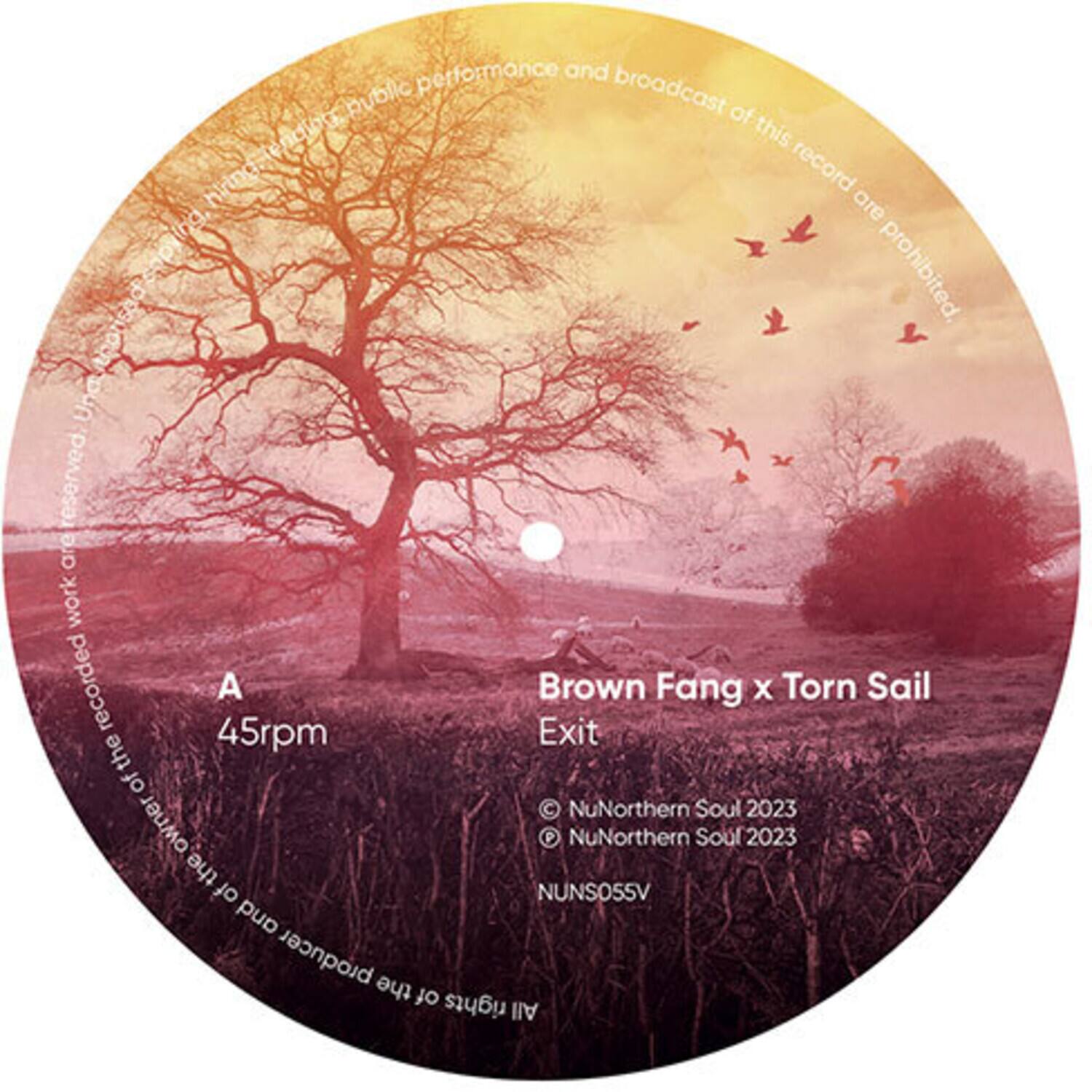Brown Fang x Torn Sail  
Exit  

A  
45rpm  

© NuNorthern Soul 2023  
© NuNorthern Soul 2023  
NUNSOSSV  

All rights reserved. Unauthorized copying, hiring, public performance and broadcast of this record are prohibited.