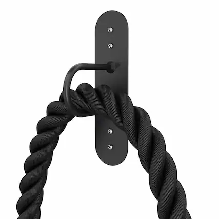 Front. Power Systems - Wall-Mount Rope Anchor Heavy-Duty Mount for Battle Ropes & Home Gyms - Black.