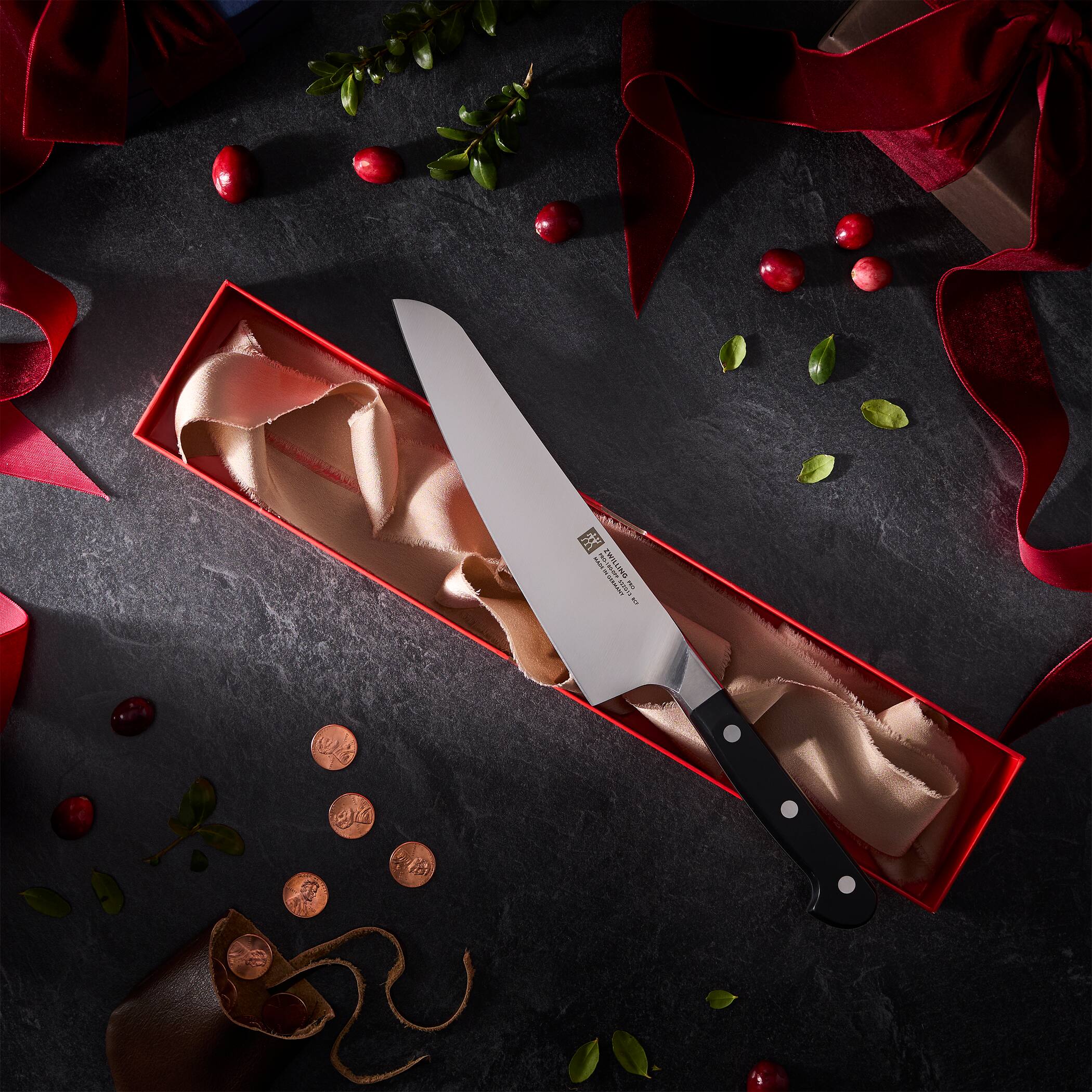 ZWILLING ALPIDAR 750