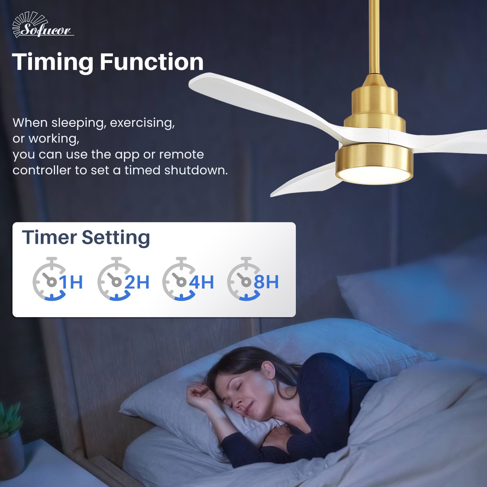 Timing Function

When sleeping, exercising, or working, you can use the app or remote controller to set a timed shutdown.

Timer Setting

1H 2H 4H 8H