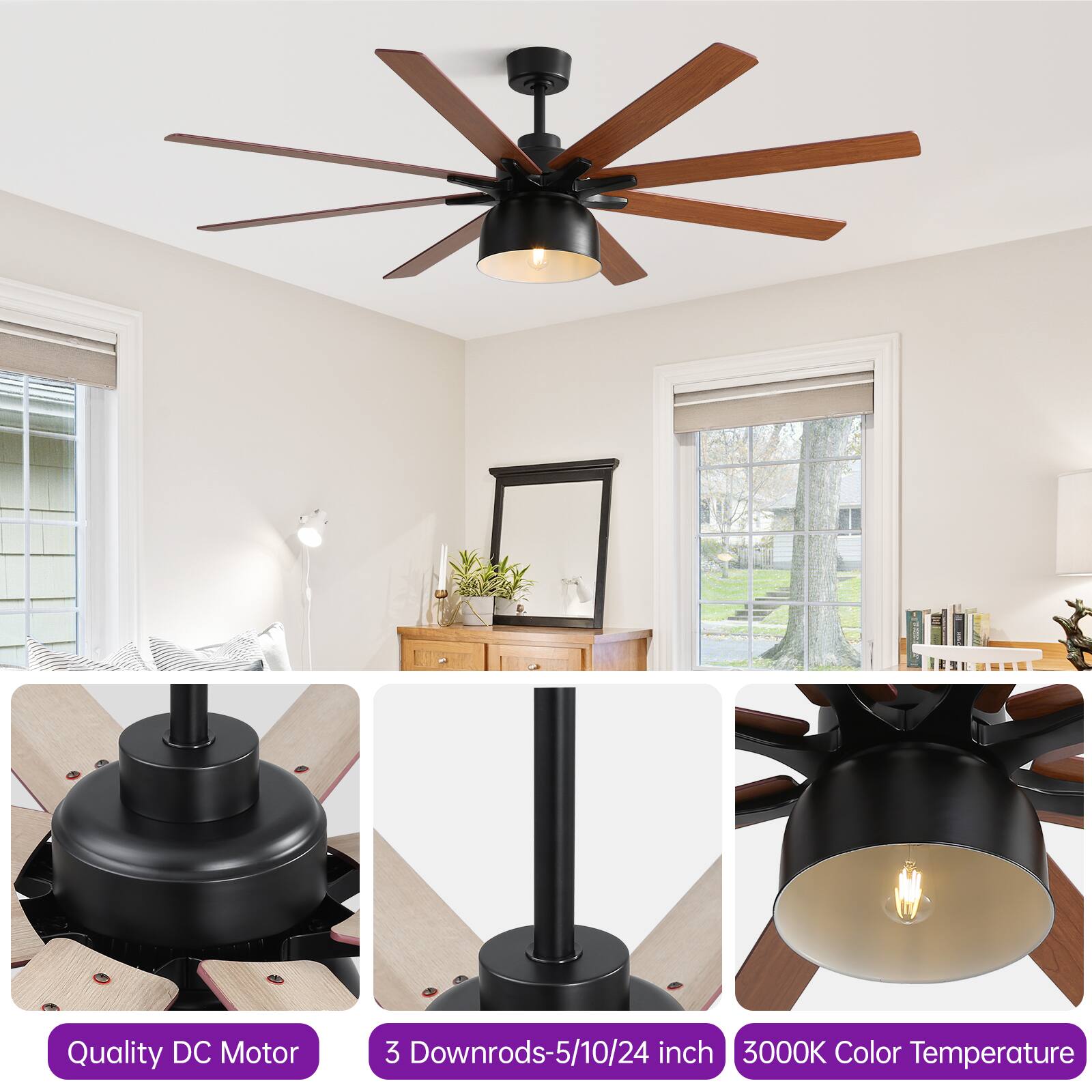 Quality DC Motor  
3 Downrods-5/10/24 inch  
3000K Color Temperature