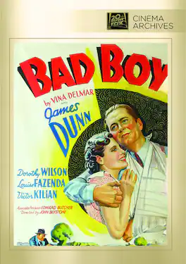 Bad Boy - DVD