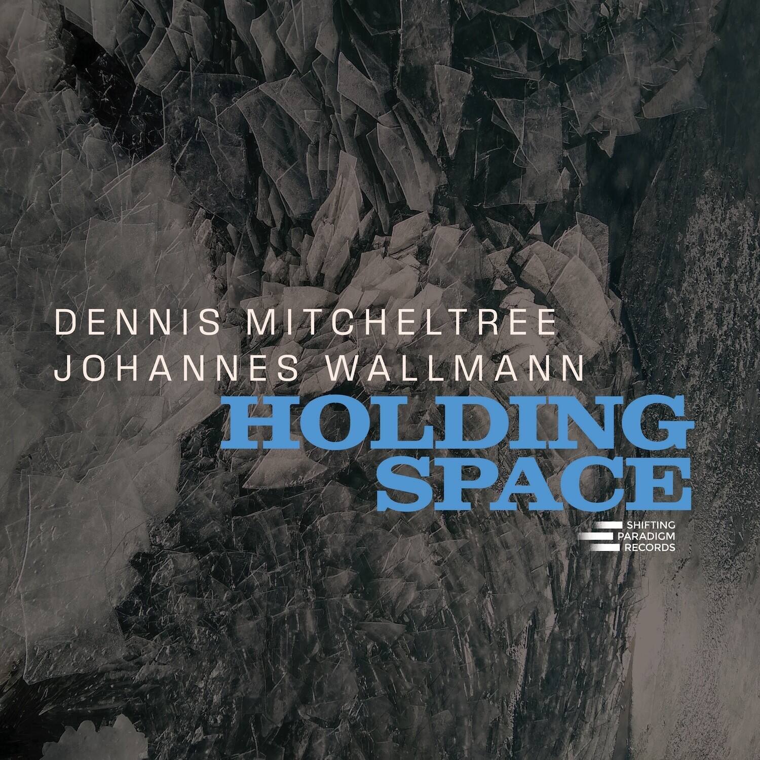 Dennis Mitcheltree - Holding Space   - COMPACT DISCS [CD] price history on PriceWatchPro