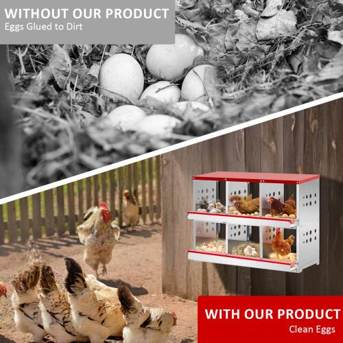 WITHOUT OUR PRODUCT  
Eggs Glued to Dirt

WITH OUR PRODUCT  
Clean Eggs