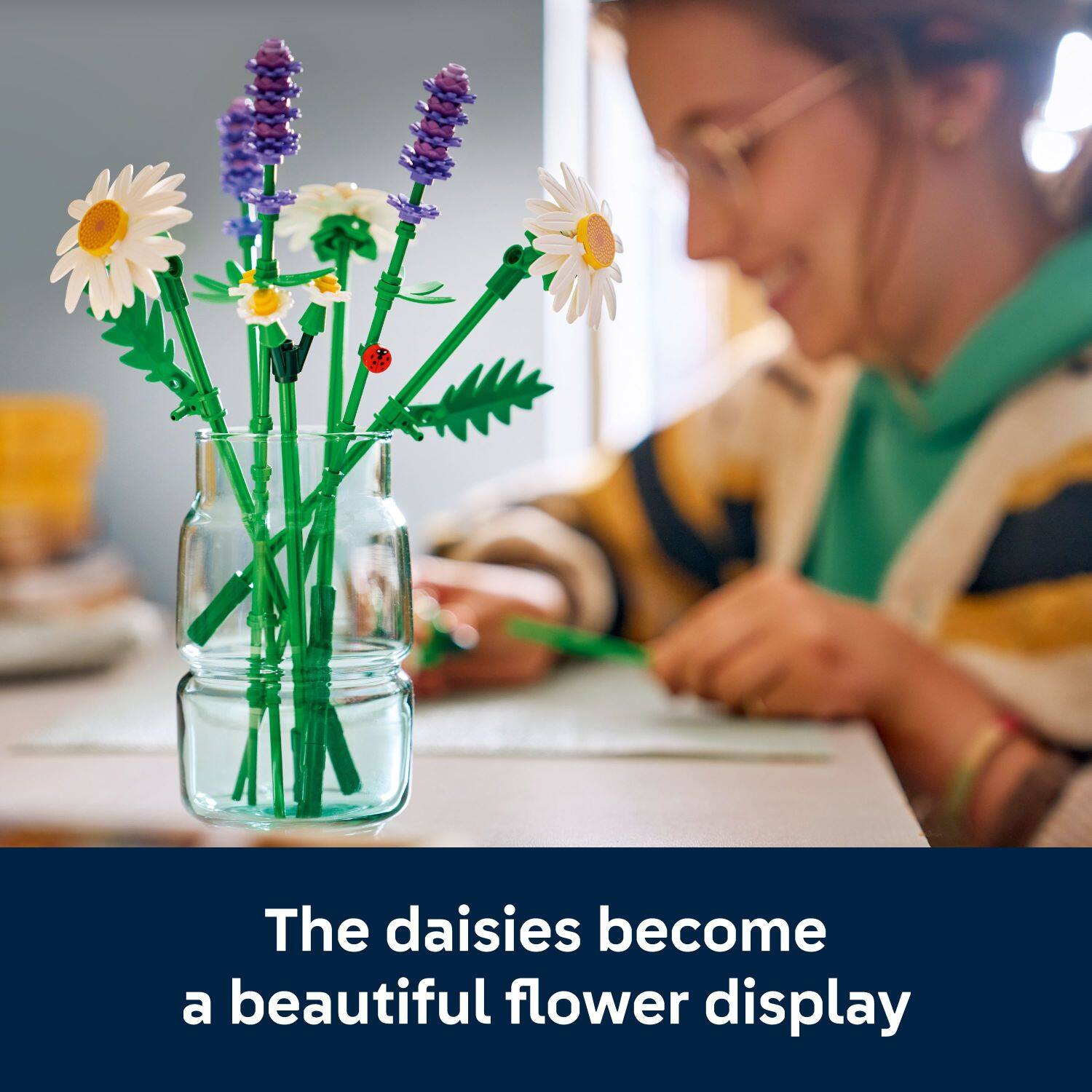 The daisies become a beautiful flower display