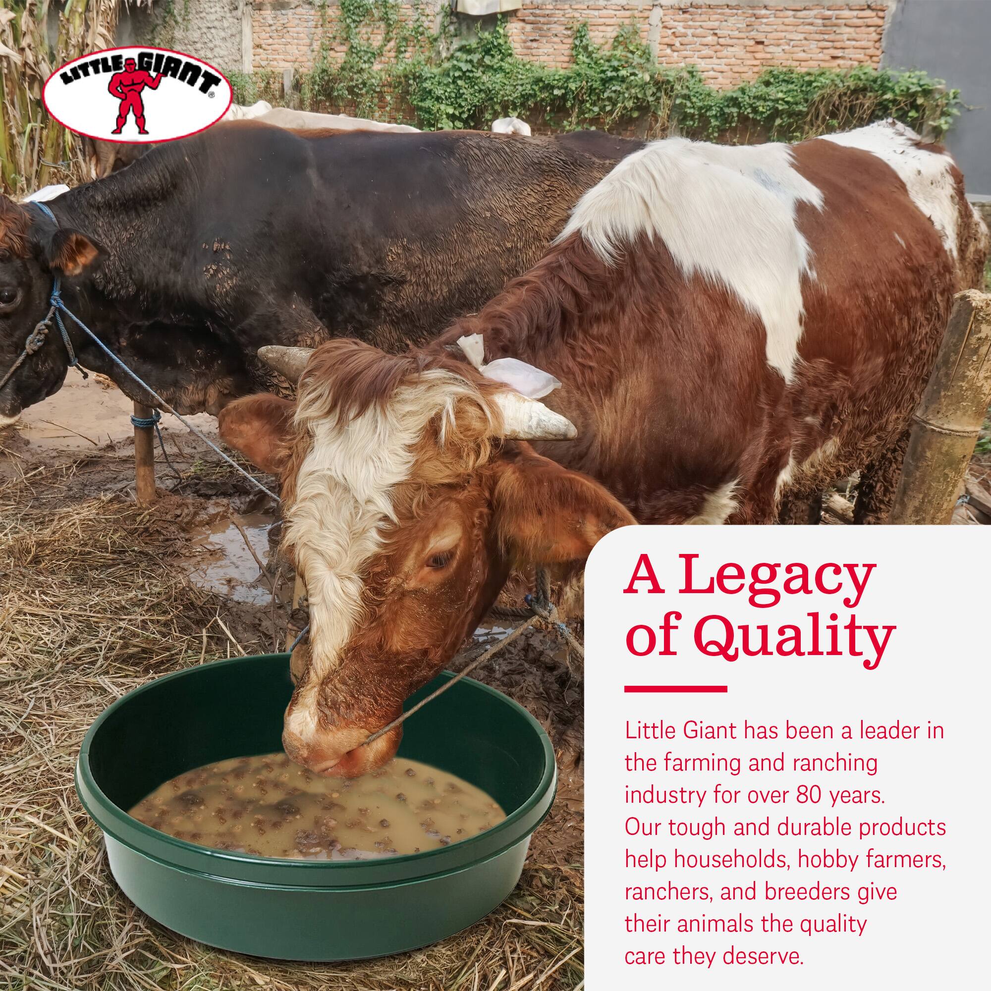 LITTLE GIANT

A Legacy of Quality

Little Giant has been a leader in the farming and ranching industry for over 80 years. Our tough and durable products help households, hobby farmers, ranchers, and breeders give their animals the quality care they deserve.