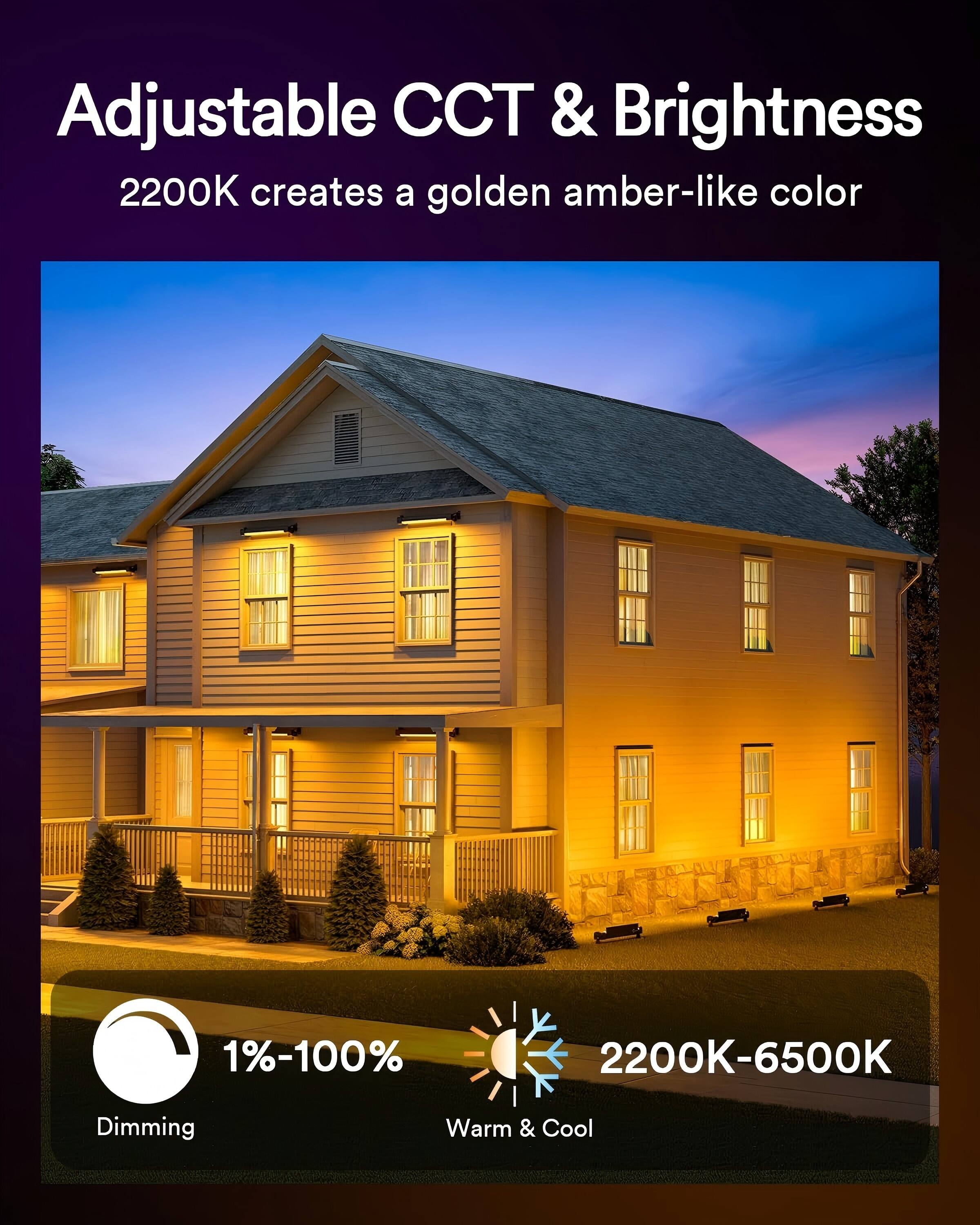 Adjustable CCT & Brightness  
2200K creates a golden amber-like color  
1%-100%  
2200K-6500K  
Dimming  
Warm & Cool