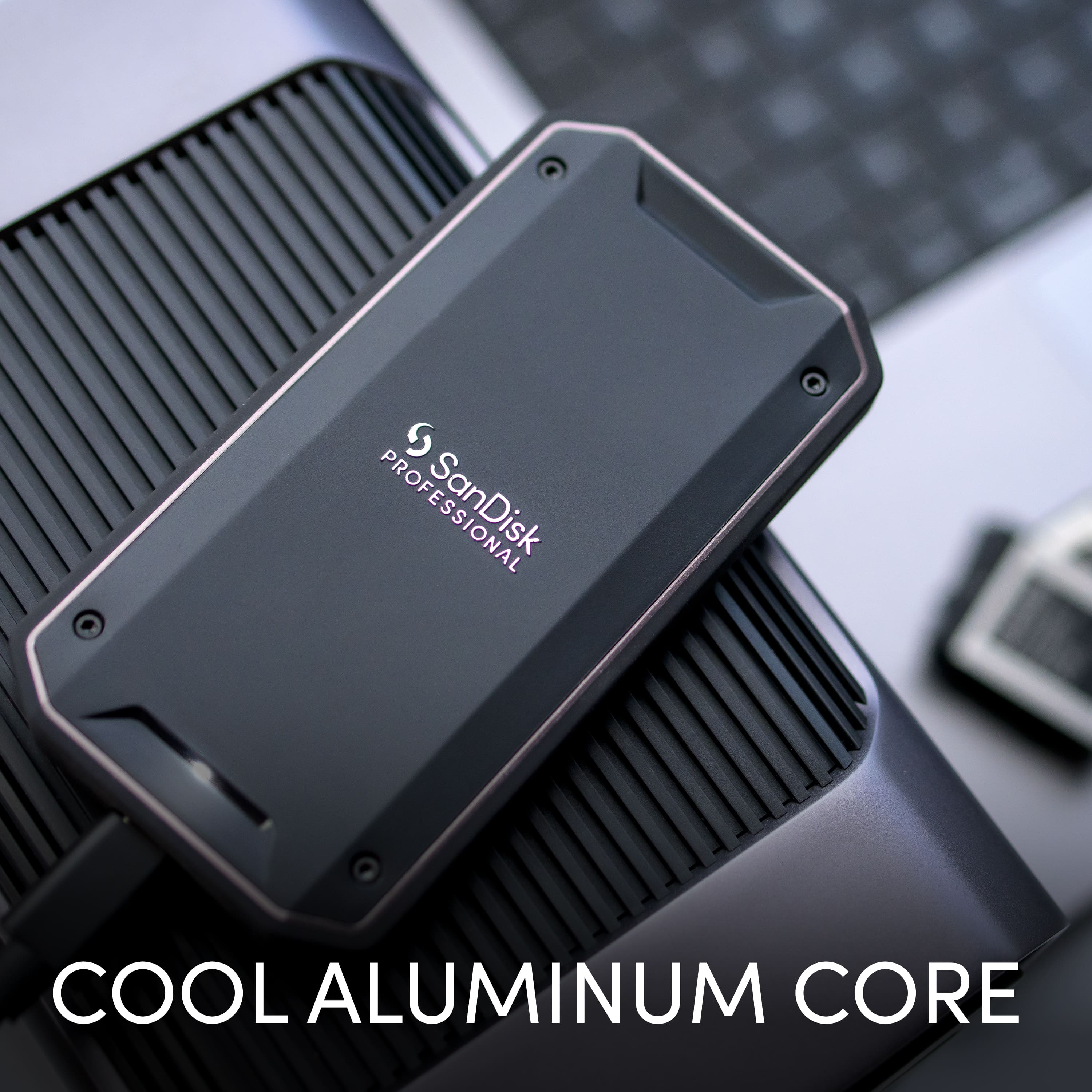 PROFESSIONAL
SanDisk
COOL ALUMINUM CORE