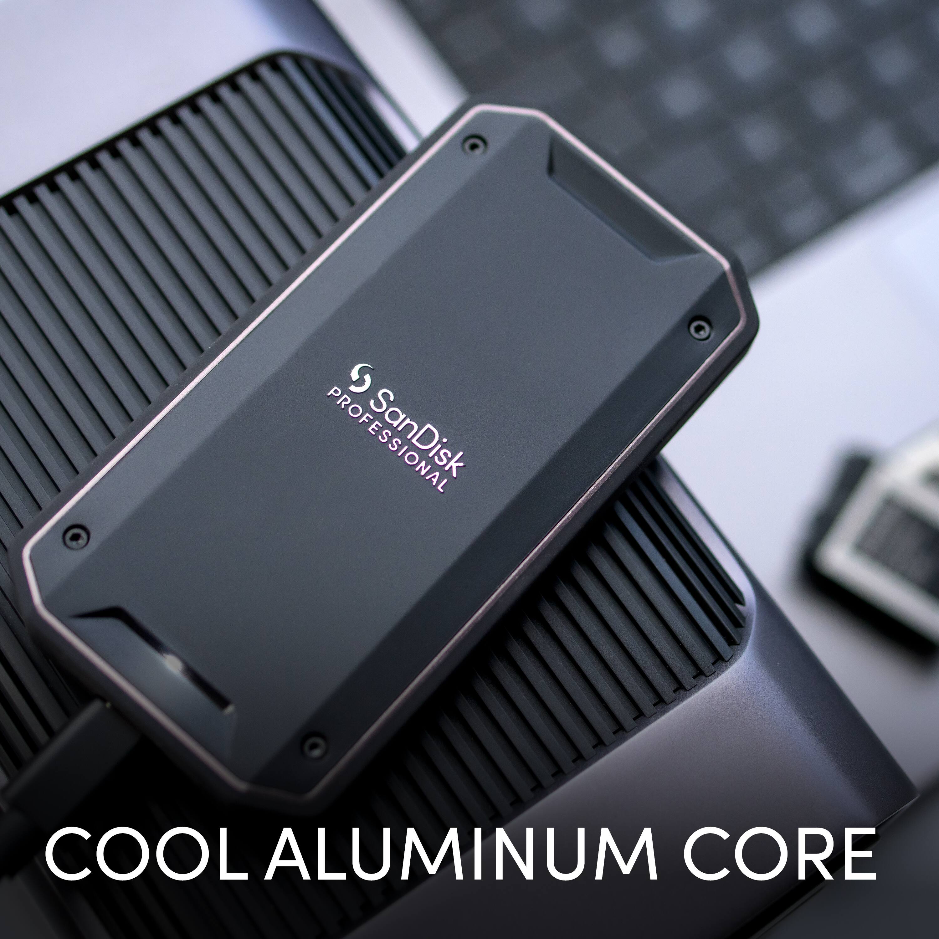 PROFESSIONAL  
SanDisk  
COOL ALUMINUM CORE