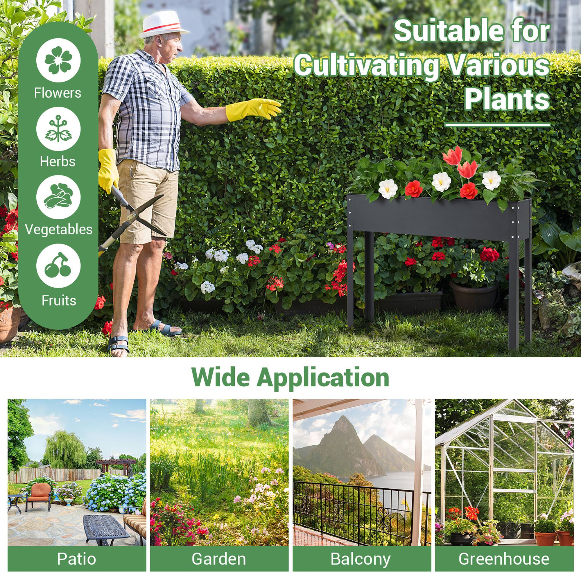 Flowers Suitable for Cultivating Various Plants Herbs Vegetables Fruits Wide Application Patio Garden Balcony Greenhouse