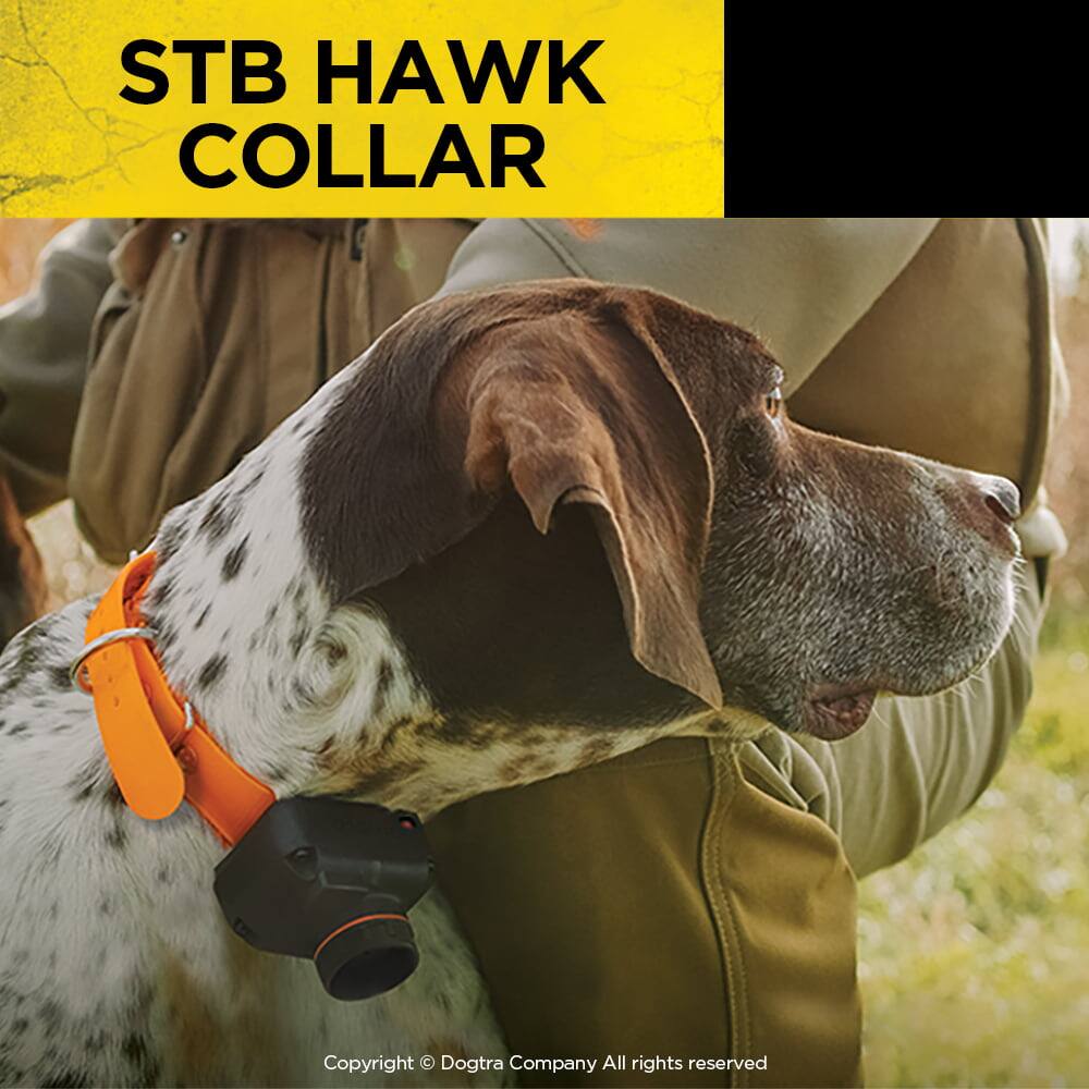 STB HAWK COLLAR  
Copyright © Dogtra Company All rights reserved